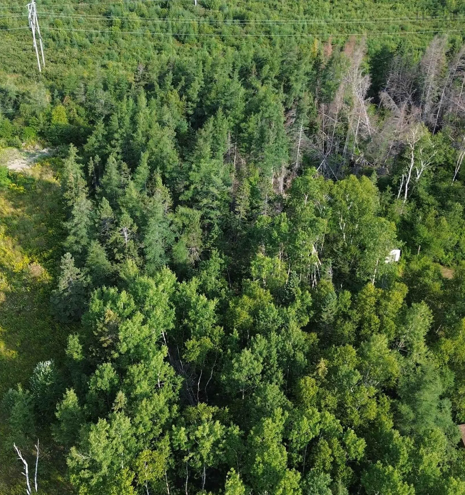 Lingan Road, River Ryan, NS B1H 5S2, ,Land,For Sale,Lingan,202519841