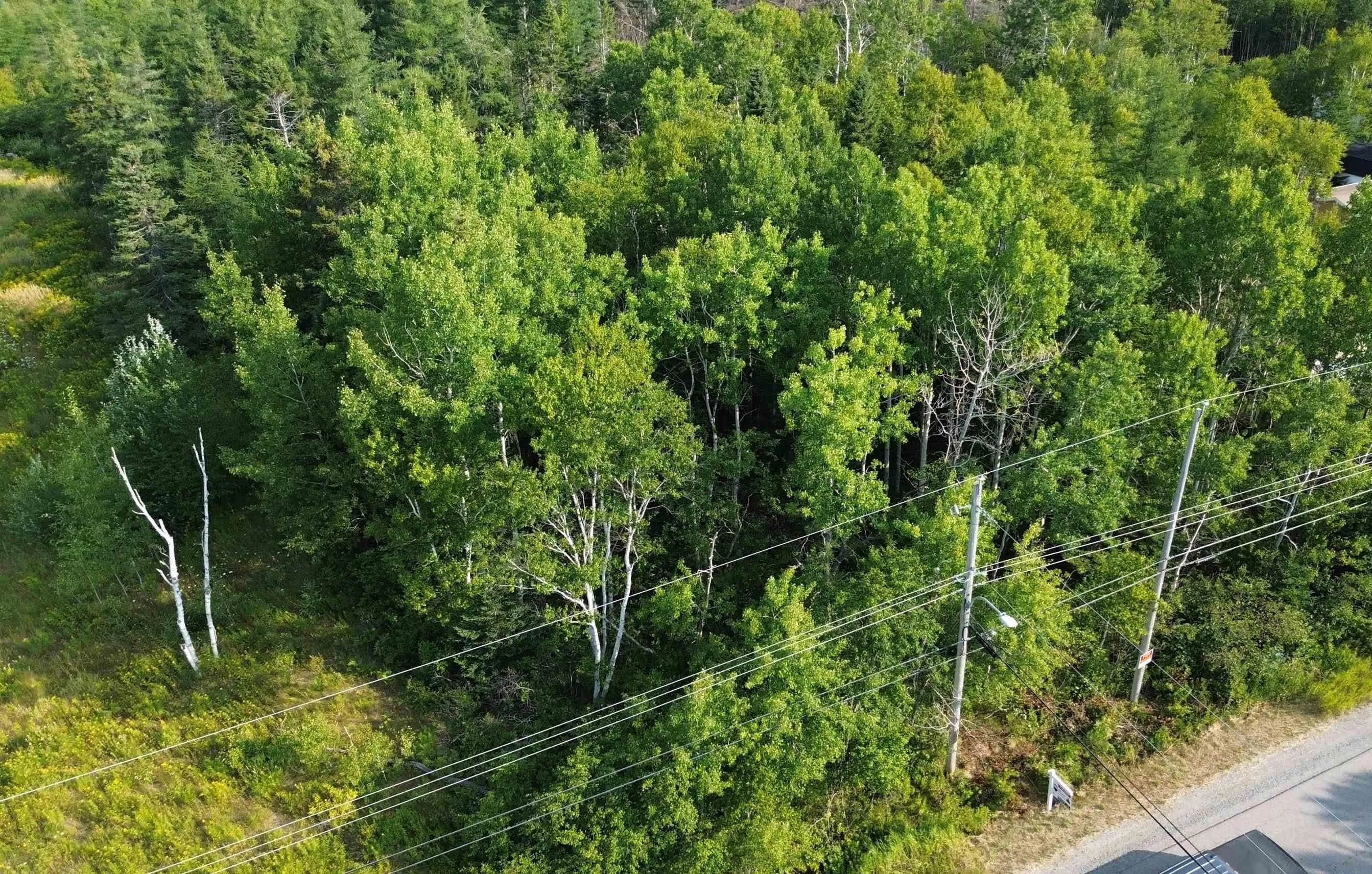 Lingan Road, River Ryan, NS B1H 5S2, ,Land,For Sale,Lingan,202519841