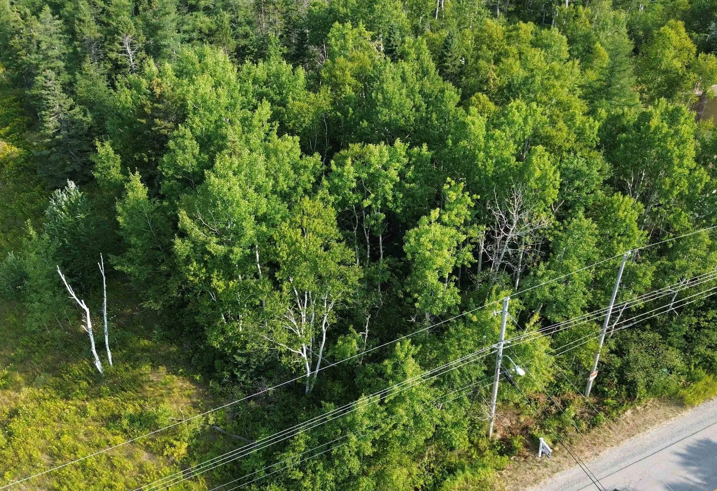 Lingan Road, River Ryan, NS B1H 5S2, ,Land,For Sale,Lingan,202519841