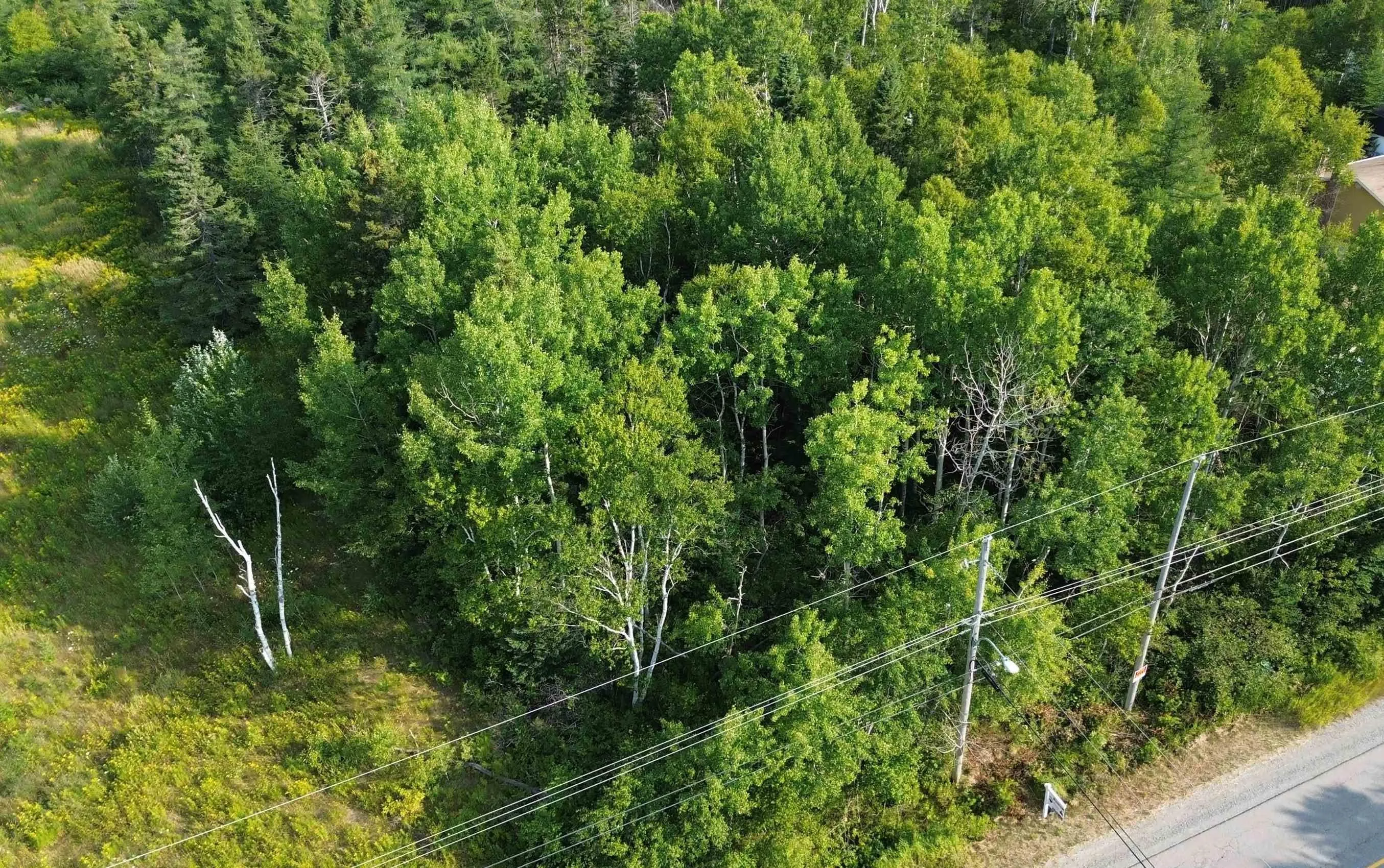 Lingan Road, River Ryan, NS B1H 5S2, ,Land,For Sale,Lingan,202519841