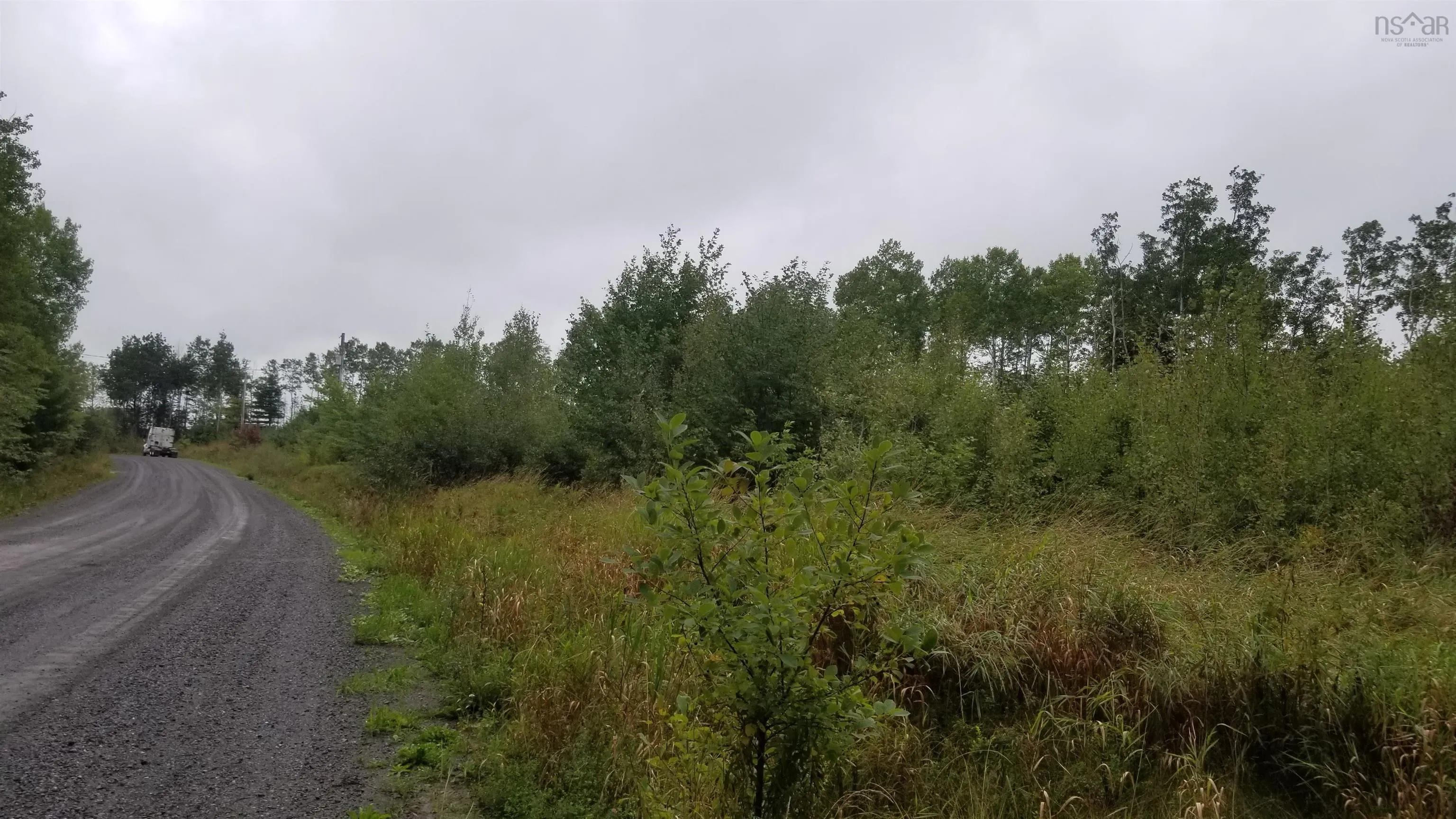 Wallace Road, Hazel Glen Ns B0k 2a0, ,Land,For Sale,Wallace,202401209