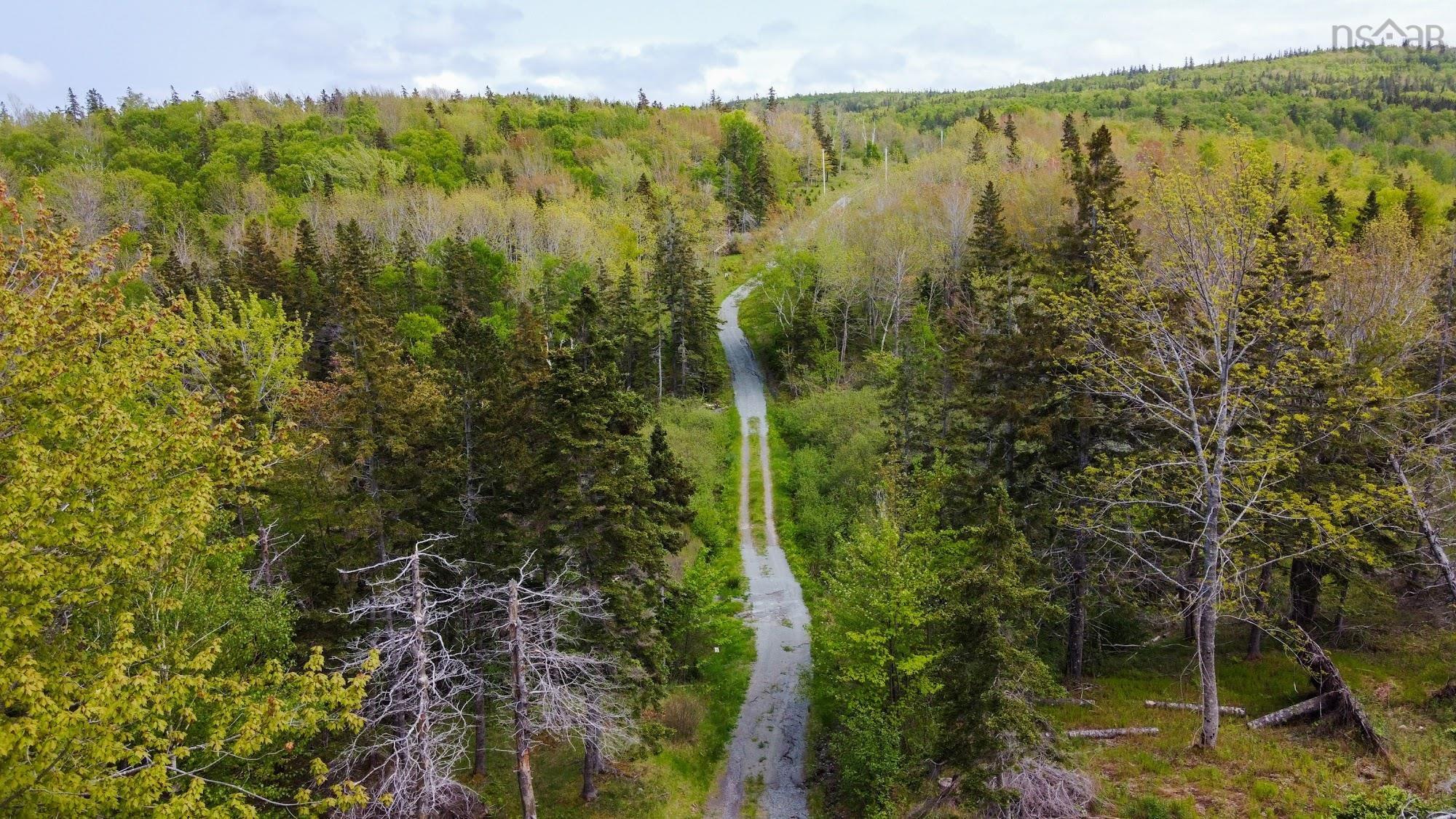 Lot 2 West Bay Road, Roberta NS B0E 2K0, ,Land,For Sale,Macleod Pond,202310353