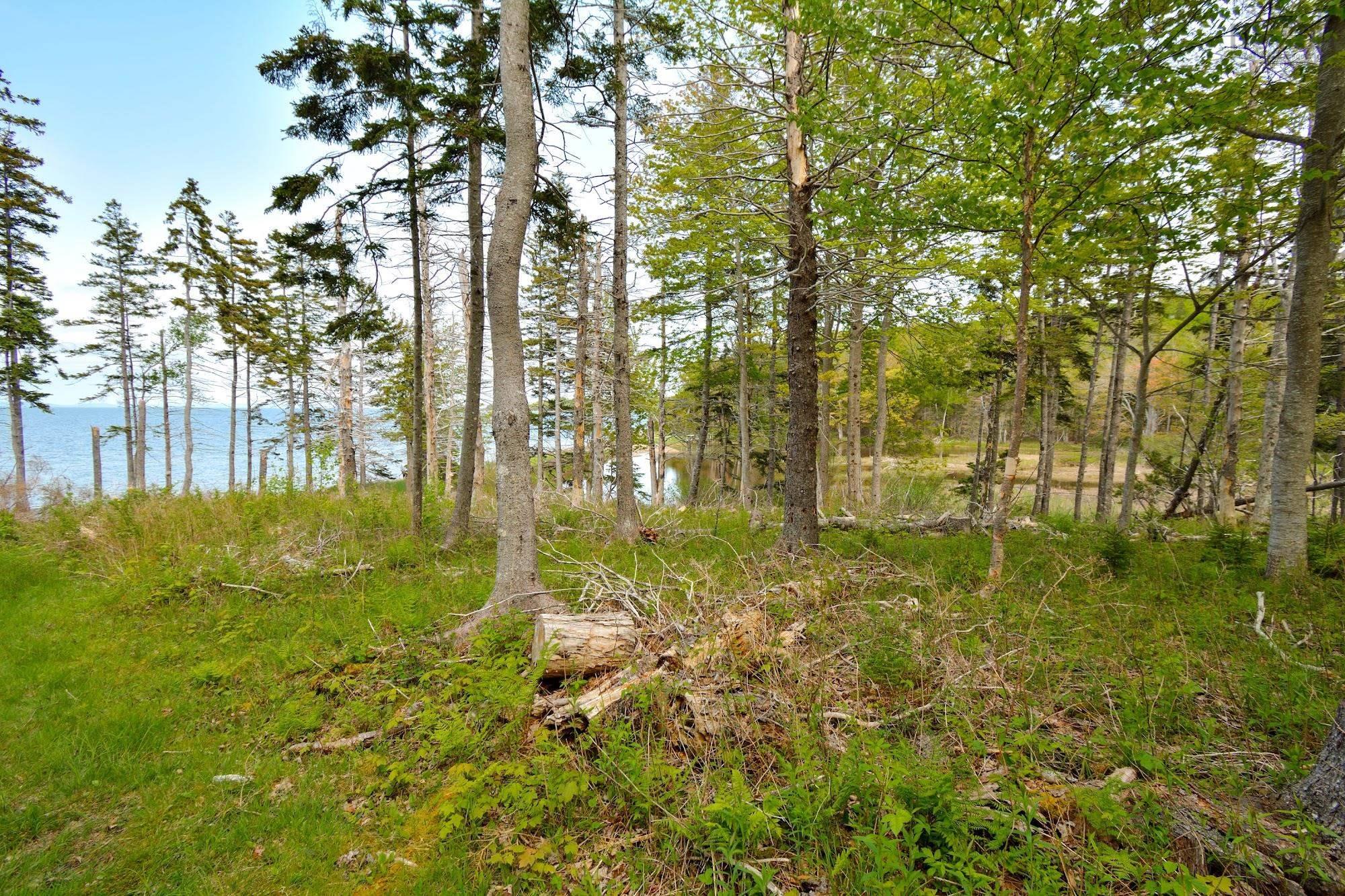 Lot 2 West Bay Road, Roberta NS B0E 2K0, ,Land,For Sale,Macleod Pond,202310353
