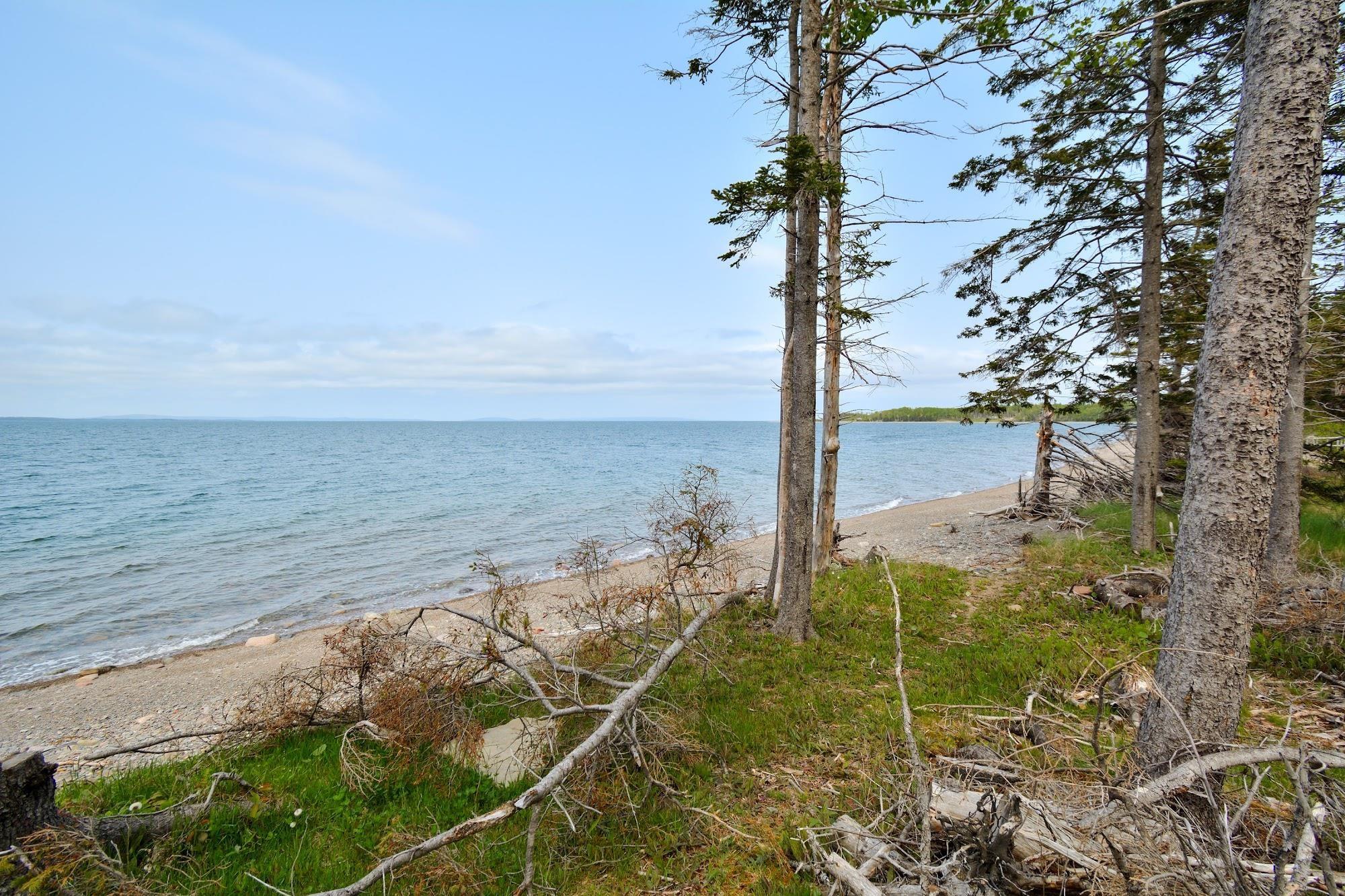 Lot 2 West Bay Road, Roberta NS B0E 2K0, ,Land,For Sale,Macleod Pond,202310353