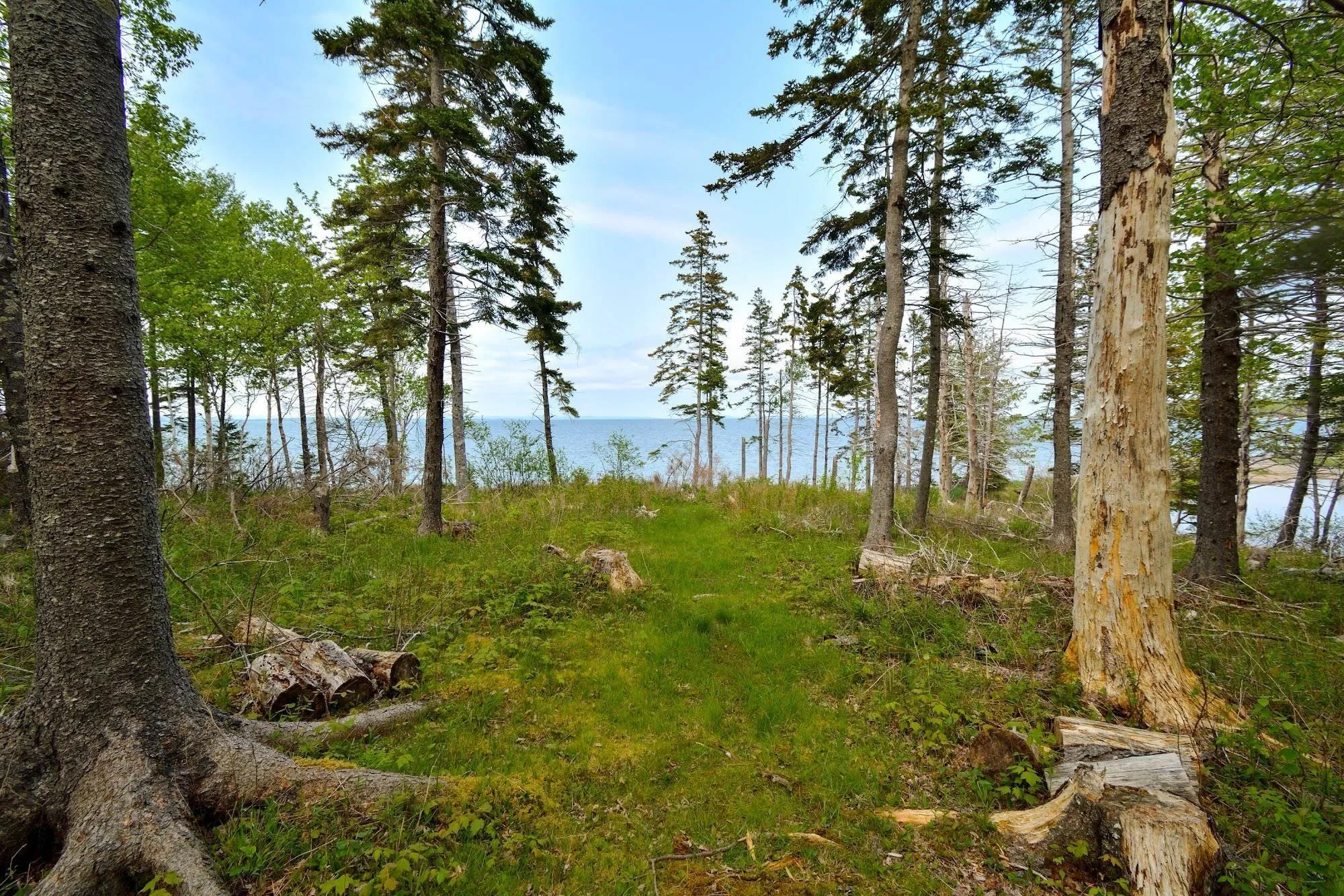 Lot 2 West Bay Road, Roberta NS B0E 2K0, ,Land,For Sale,Macleod Pond,202310353
