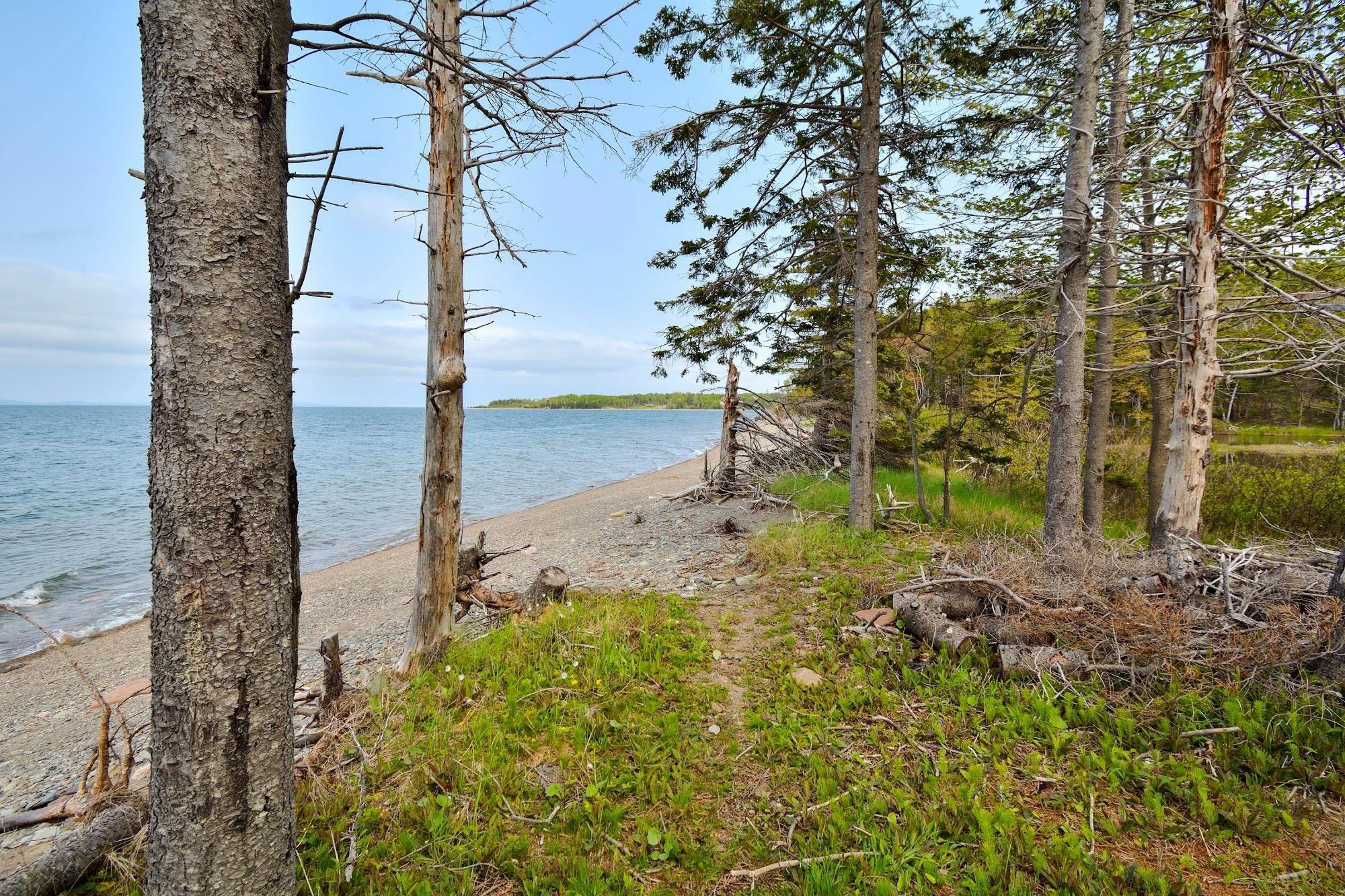 Lot 2 West Bay Road, Roberta NS B0E 2K0, ,Land,For Sale,Macleod Pond,202310353