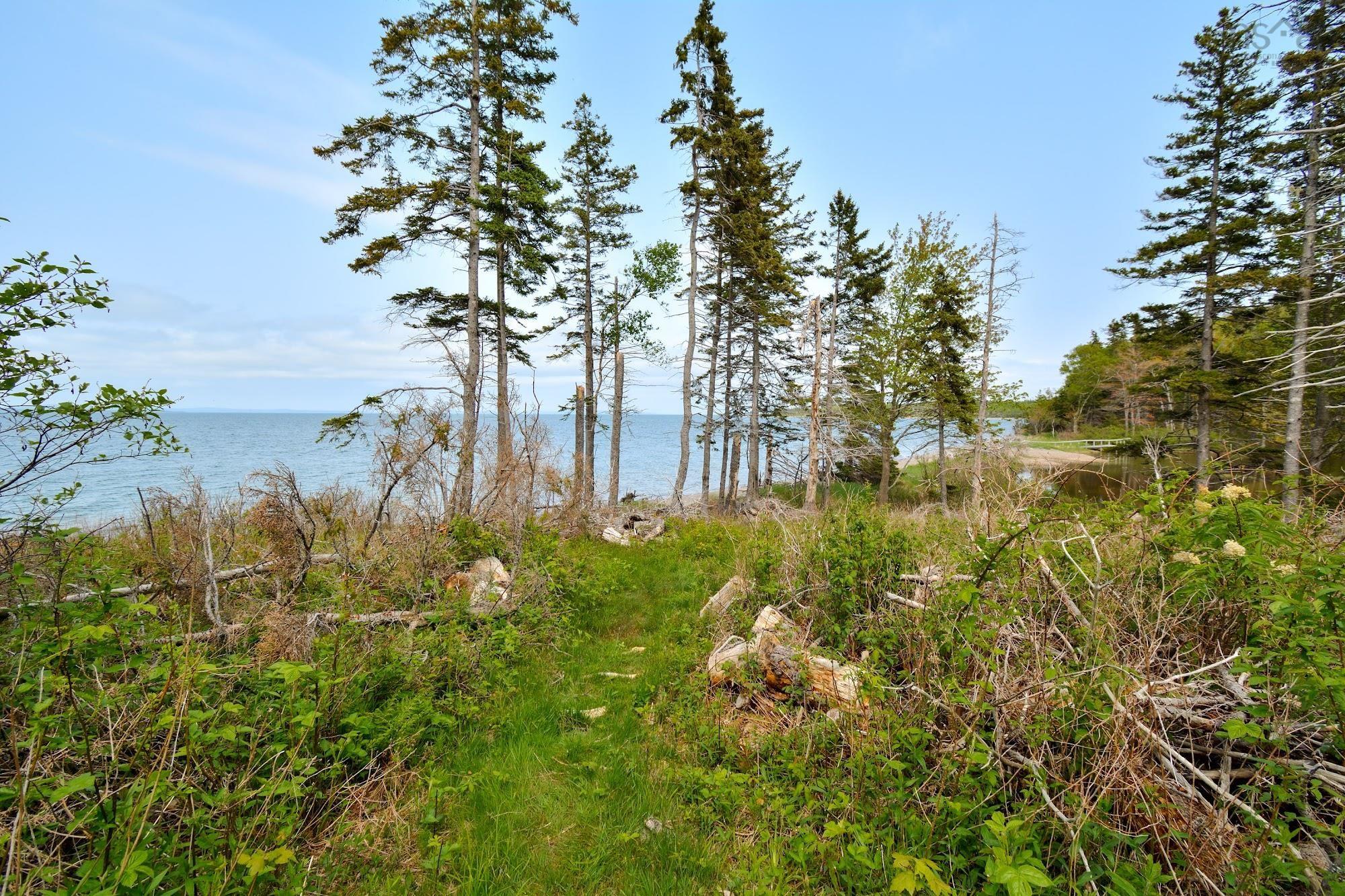 Lot 2 West Bay Road, Roberta NS B0E 2K0, ,Land,For Sale,Macleod Pond,202310353