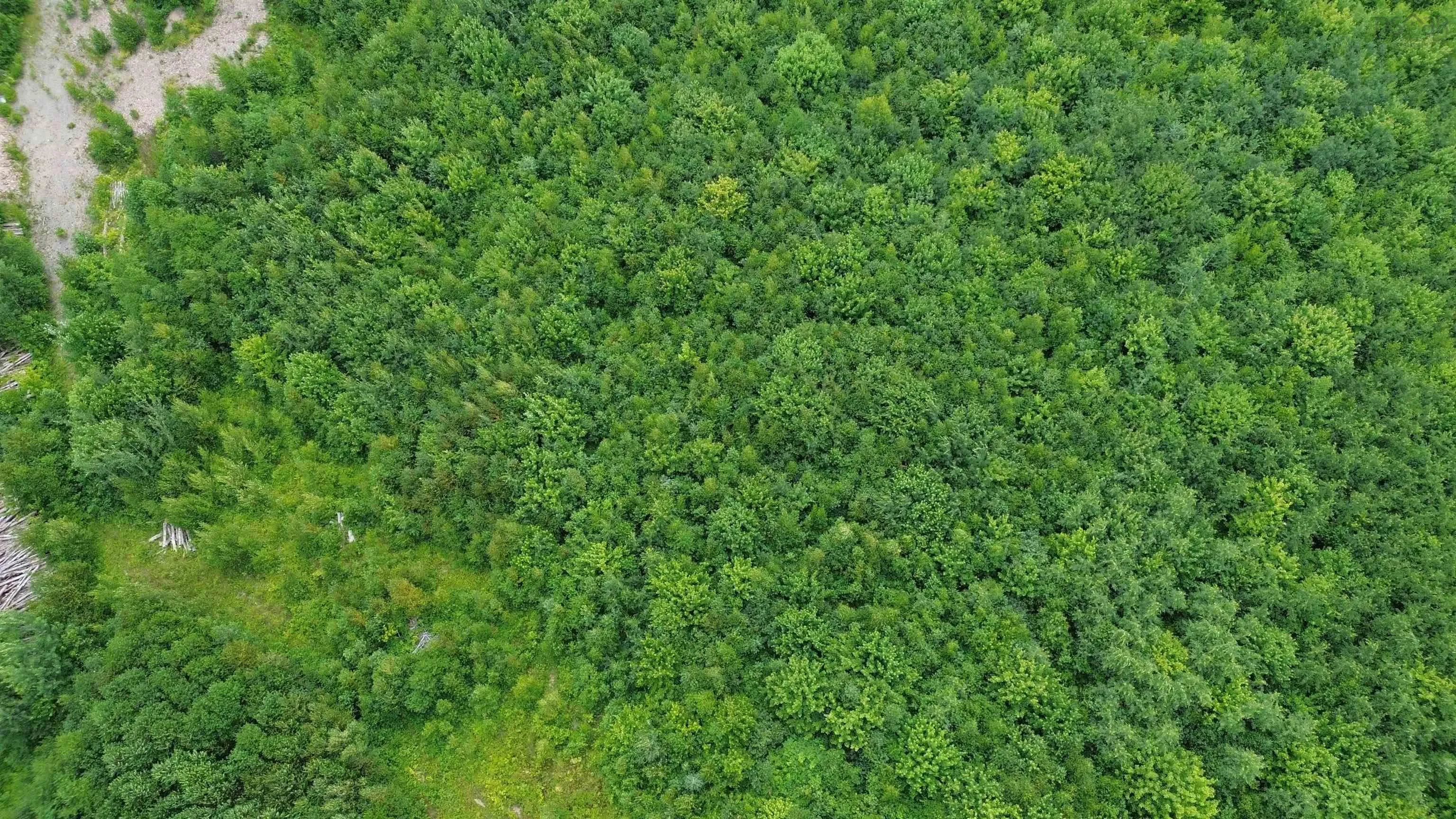 Peck Meadow Road Lot 9, Greenfield, NS B4P 2R1, ,Land,For Sale,Peck Meadow,202519084