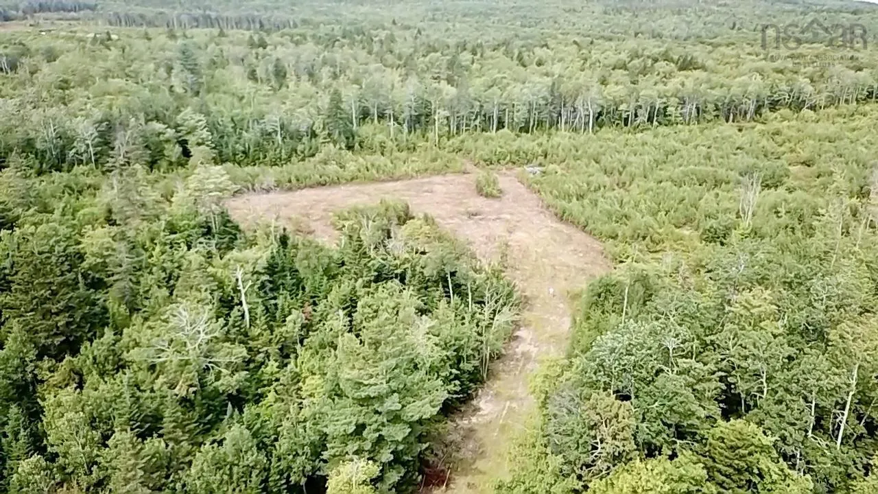 Peck Meadow Road Lot 9, Greenfield, NS B4P 2R1, ,Land,For Sale,Peck Meadow,202519084