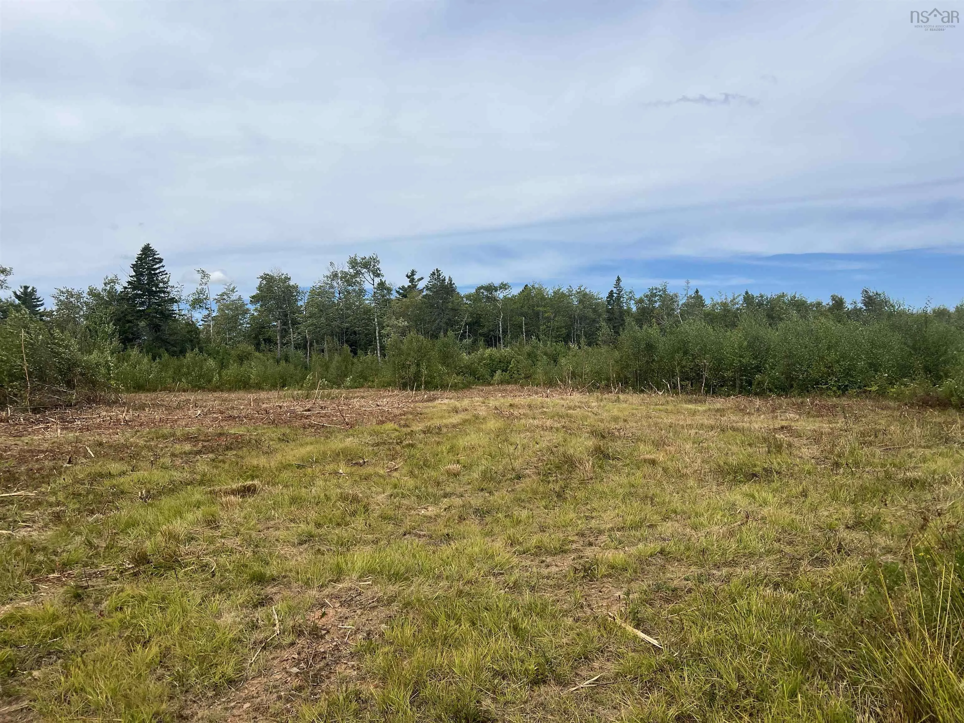 Peck Meadow Road Lot 9, Greenfield, NS B4P 2R1, ,Land,For Sale,Peck Meadow,202519084