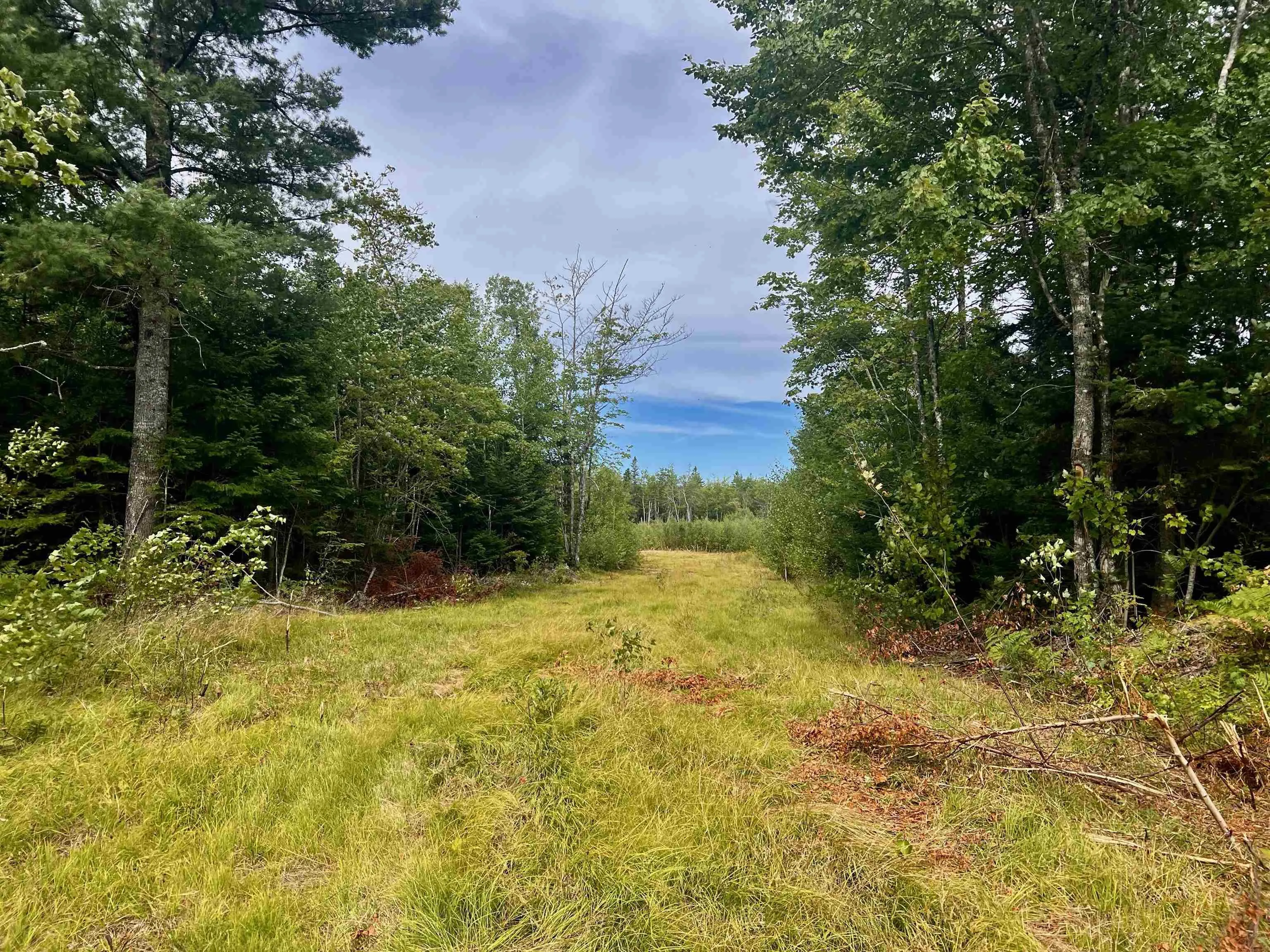 Peck Meadow Road Lot 9, Greenfield, NS B4P 2R1, ,Land,For Sale,Peck Meadow,202519084