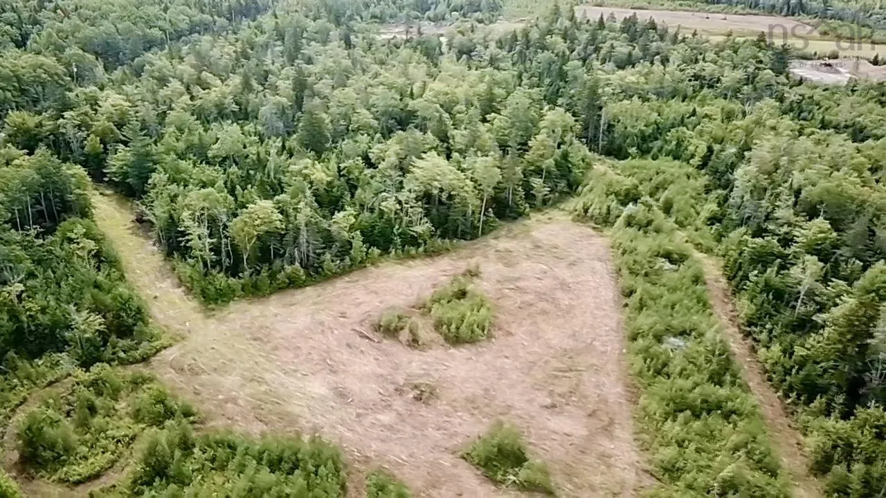 Peck Meadow Road Lot 9, Greenfield, NS B4P 2R1, ,Land,For Sale,Peck Meadow,202519084