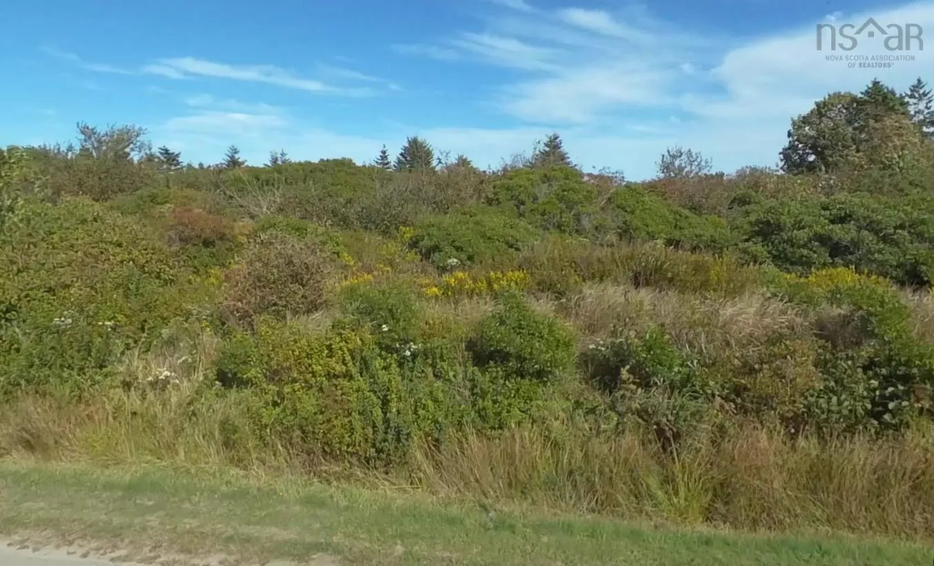 Regent Street, Yarmouth, NS B5A 2L3, ,Land,For Sale,Regent,202520725