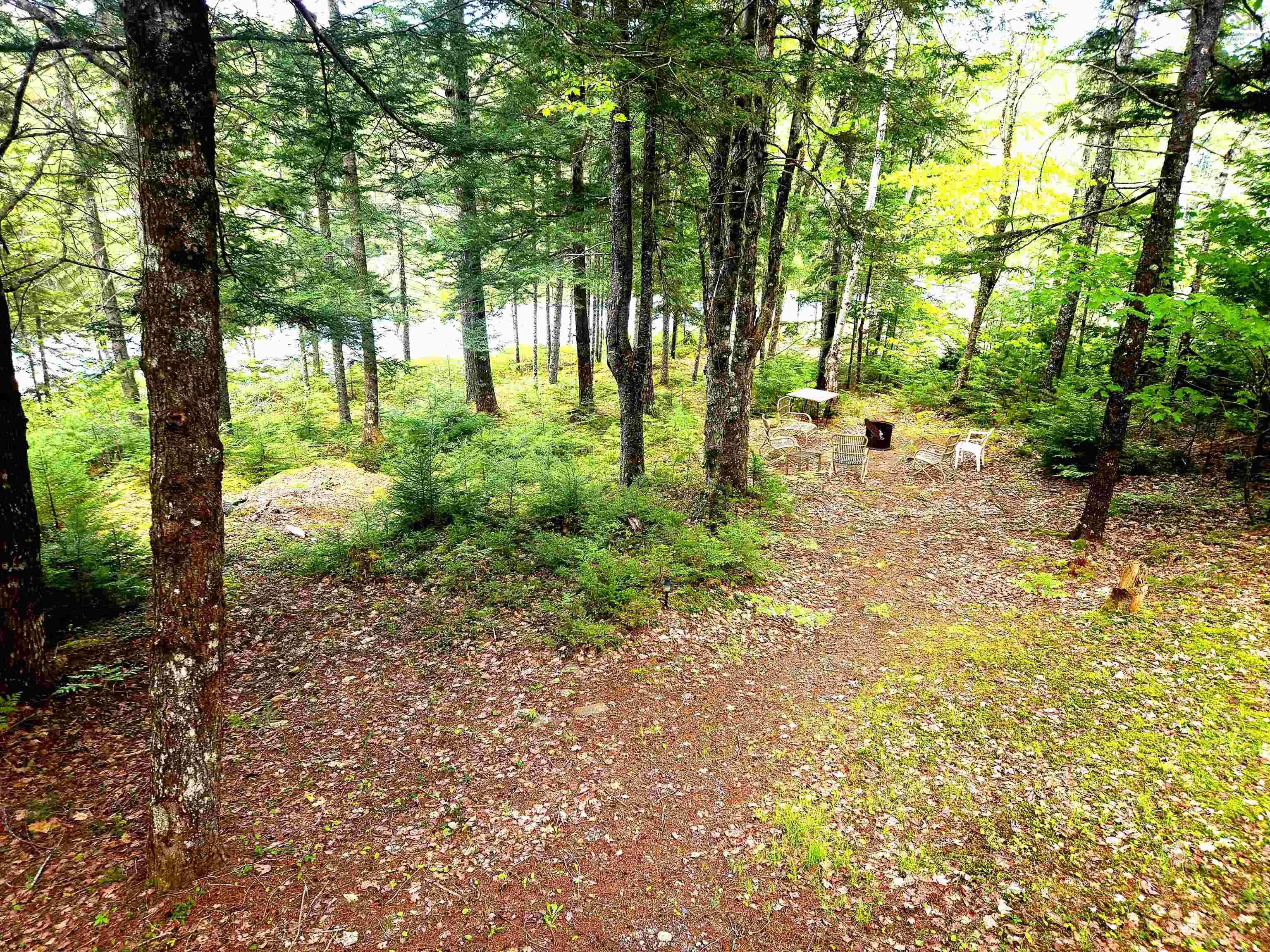 125 Cottage Lane, Pleasantfield, NS B0T 1X0, 2 Bedrooms Bedrooms, ,Residential,For Sale,Cottage,202513560