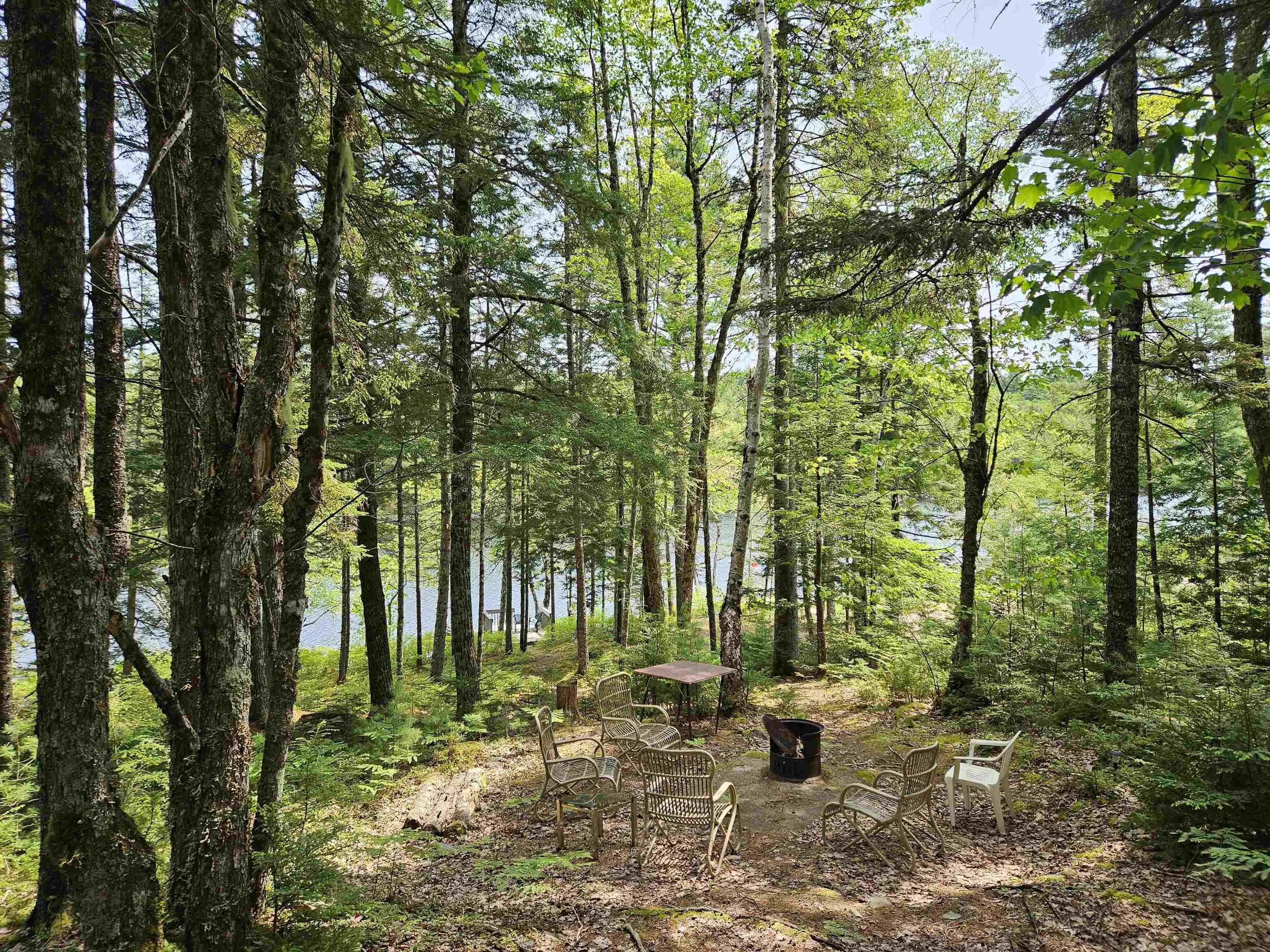 125 Cottage Lane, Pleasantfield, NS B0T 1X0, 2 Bedrooms Bedrooms, ,Residential,For Sale,Cottage,202513560