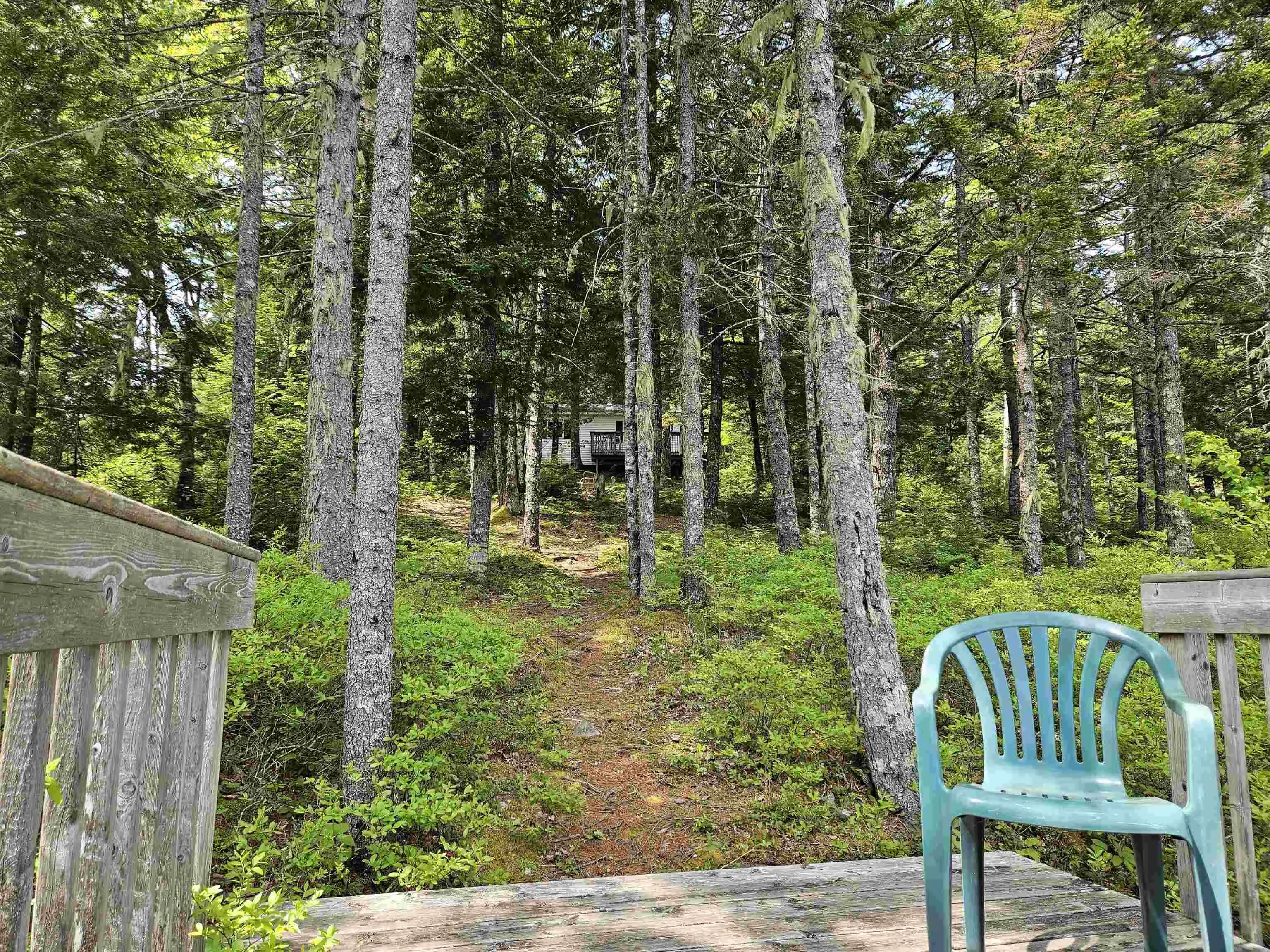 125 Cottage Lane, Pleasantfield, NS B0T 1X0, 2 Bedrooms Bedrooms, ,Residential,For Sale,Cottage,202513560