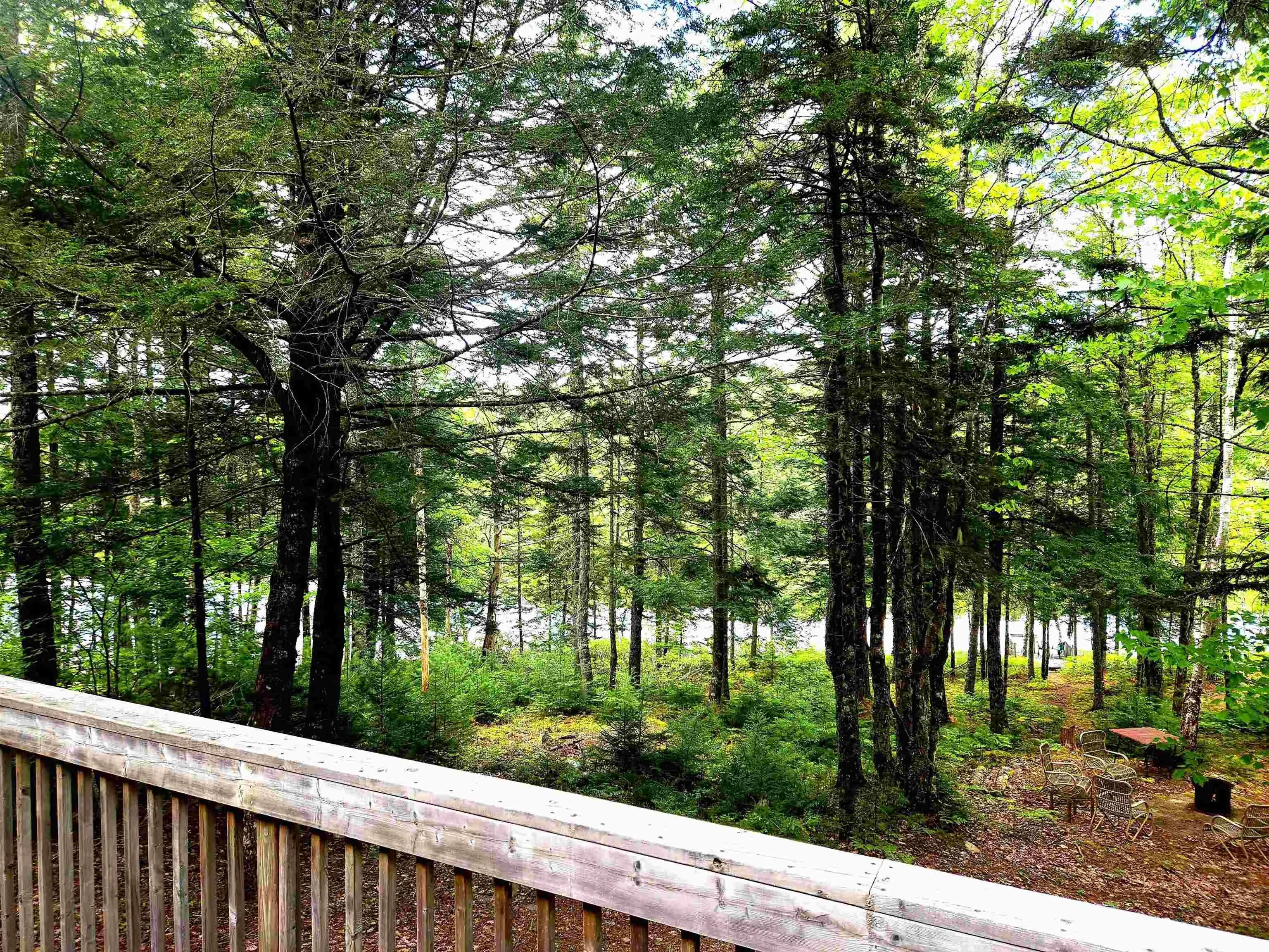 125 Cottage Lane, Pleasantfield, NS B0T 1X0, 2 Bedrooms Bedrooms, ,Residential,For Sale,Cottage,202513560