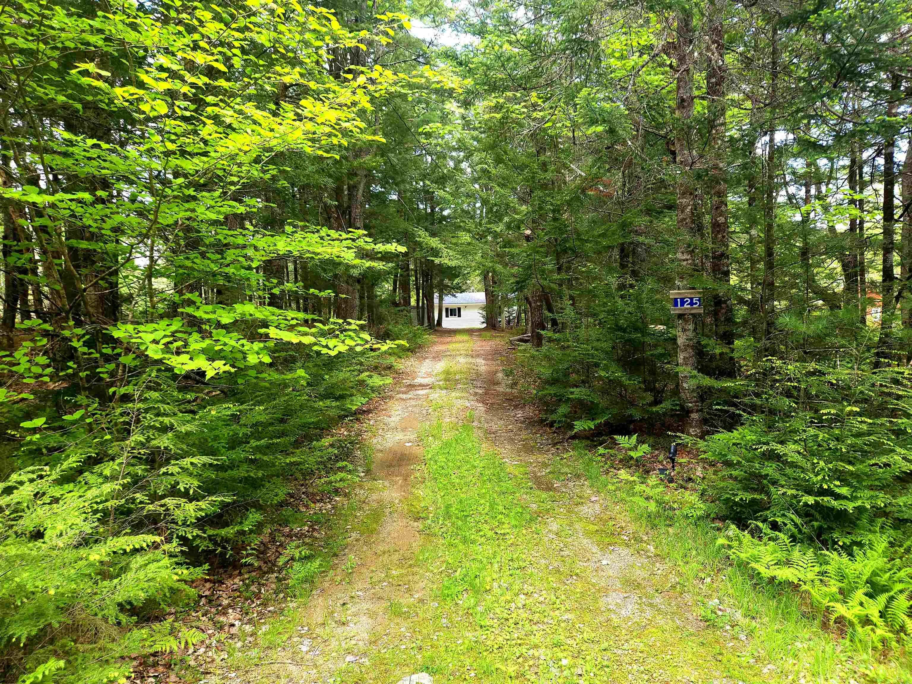 125 Cottage Lane, Pleasantfield, NS B0T 1X0, 2 Bedrooms Bedrooms, ,Residential,For Sale,Cottage,202513560