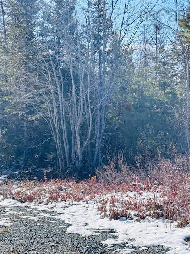 Highway 331 Lot F2, Petite Rivière Ns B4v 5z3, ,Land,For Sale,Highway 331,202509816