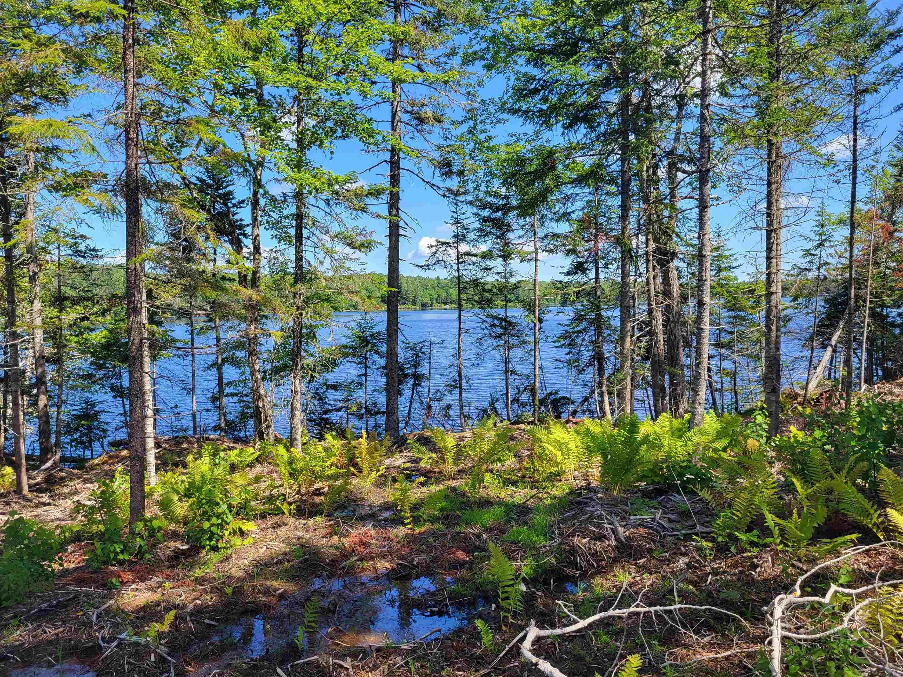 23-2 Glenville Road, Glenville NS B0M 1V0, ,Land,For Sale,Glenville,202317757