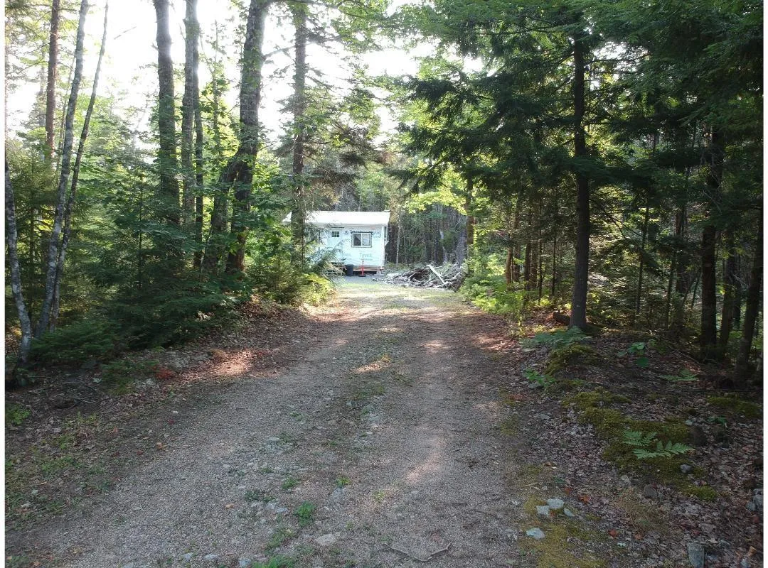 373 Armstrong Lake West Road, Vaughan, NS B0N 2T0, ,Land,For Sale,Armstrong Lake West,202520140