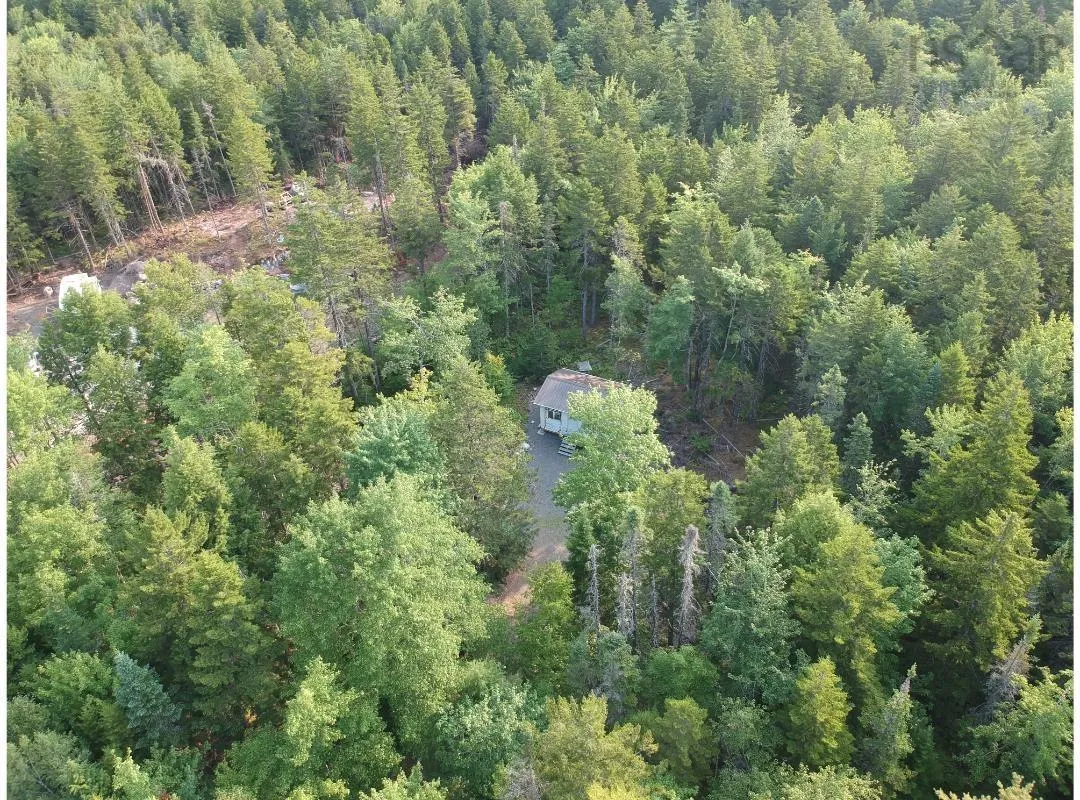 373 Armstrong Lake West Road, Vaughan, NS B0N 2T0, ,Land,For Sale,Armstrong Lake West,202520140