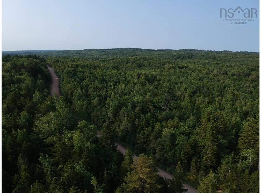 373 Armstrong Lake West Road, Vaughan, NS B0N 2T0, ,Land,For Sale,Armstrong Lake West,202520140