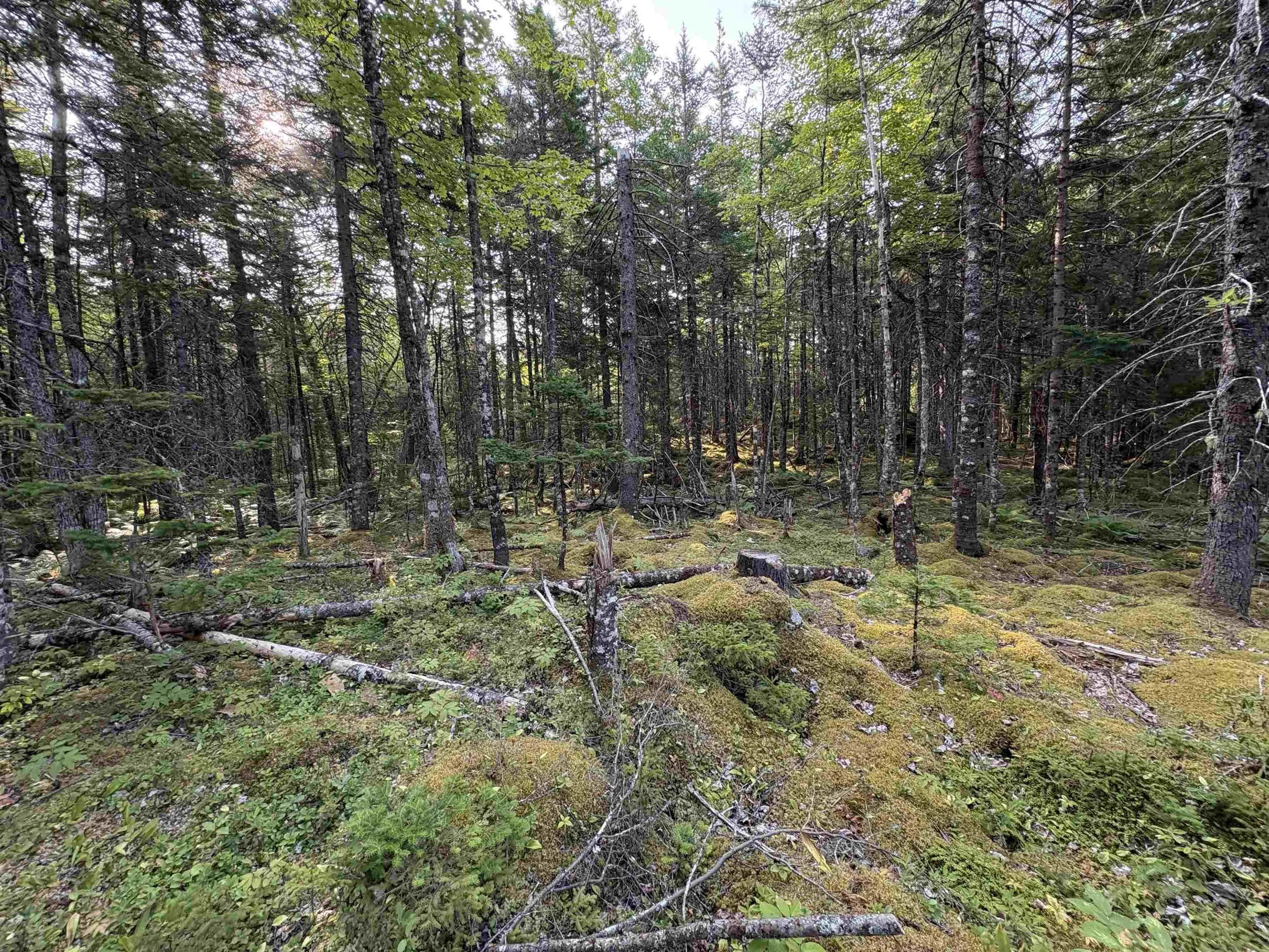 373 Armstrong Lake West Road, Vaughan, NS B0N 2T0, ,Land,For Sale,Armstrong Lake West,202520140