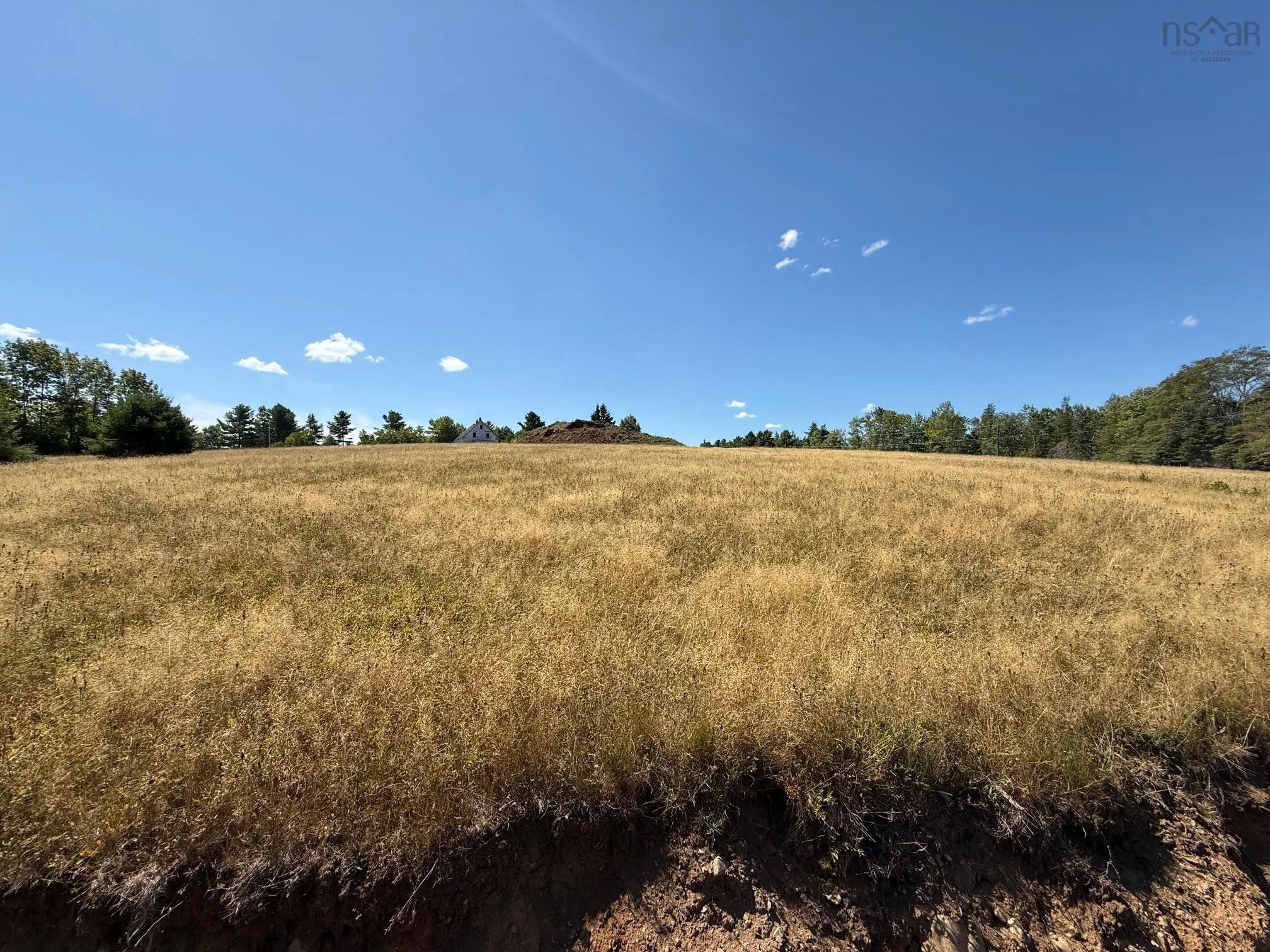 Sweetland Road Lot 5, Sweetland, NS B0J 1E0, ,Land,For Sale,Sweetland,202522160