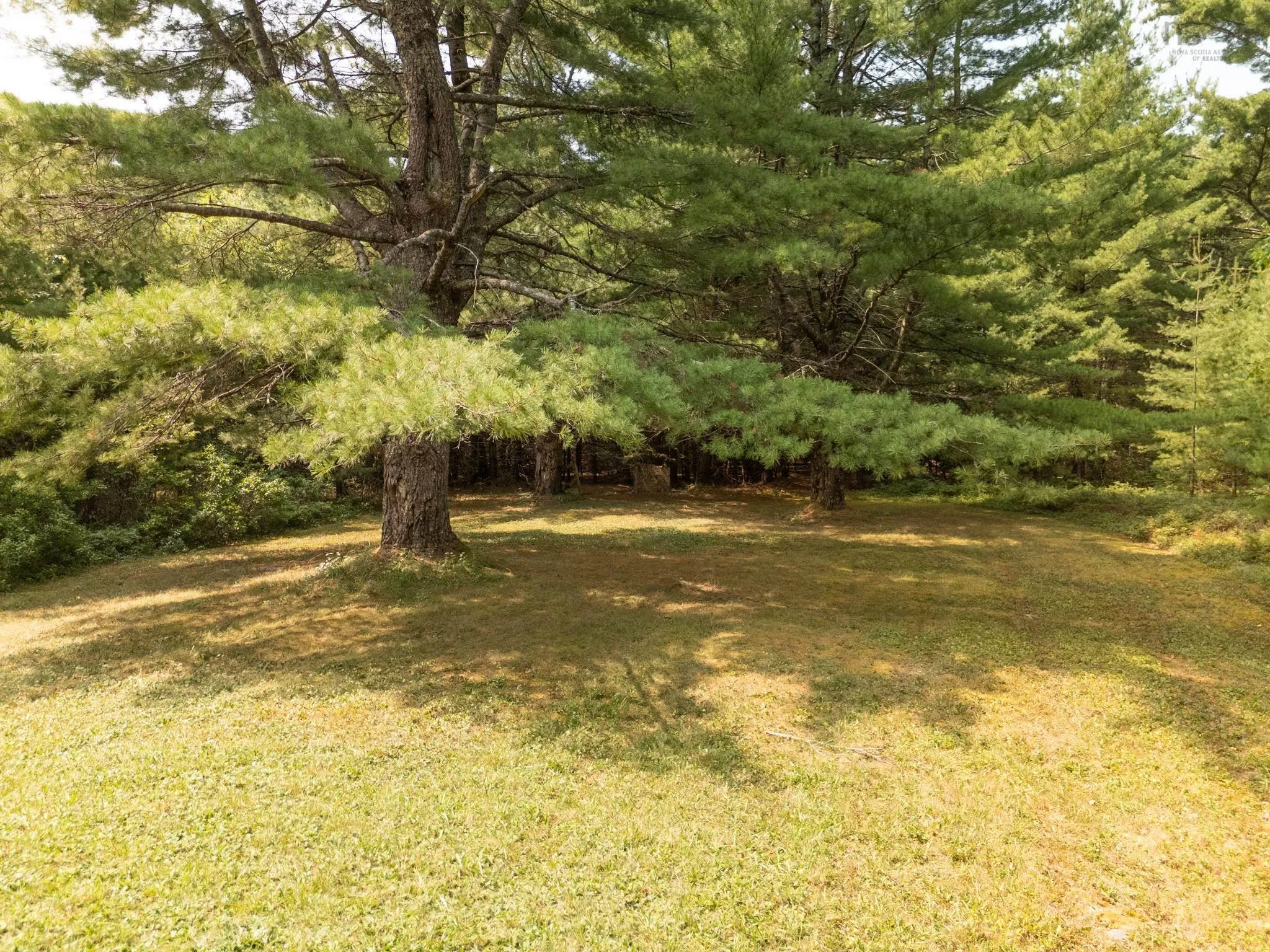 545 Depot Road, East Kemptville, NS B5A 5P7, 3 Bedrooms Bedrooms, ,1 BathroomBathrooms,Residential,For Sale,Depot,202520253