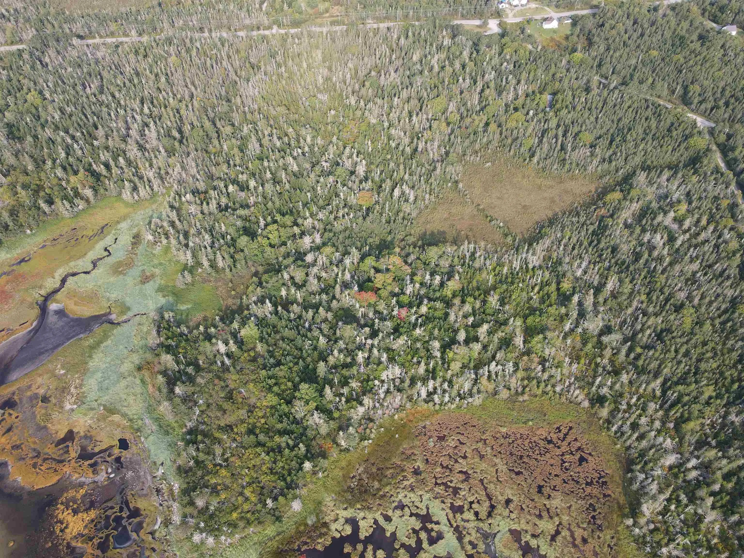 Port Latour Road, Reynoldscroft Ns B0w 1e0, ,Land,For Sale,Port Latour,202423576