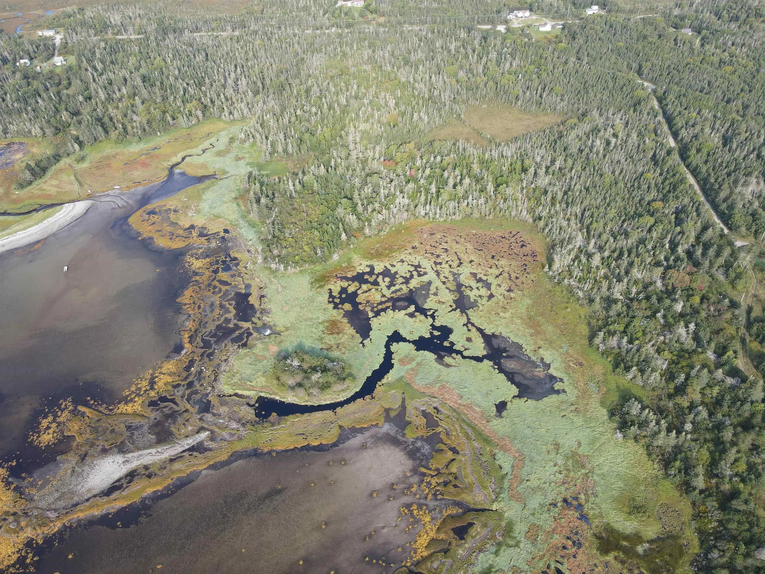 Port Latour Road, Reynoldscroft Ns B0w 1e0, ,Land,For Sale,Port Latour,202423576