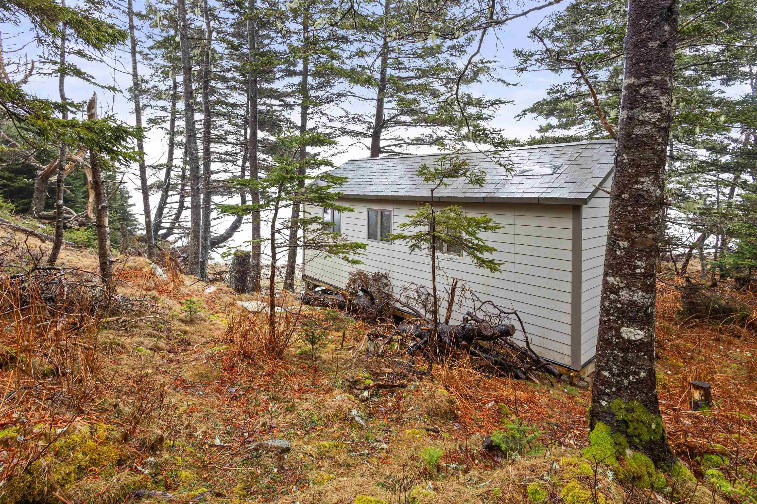 821 Shad Point Parkway, Blind Bay Ns B3z 4c4, 2 Bedrooms Bedrooms, ,2 BathroomsBathrooms,Residential,For Sale,Shad Point,202505532