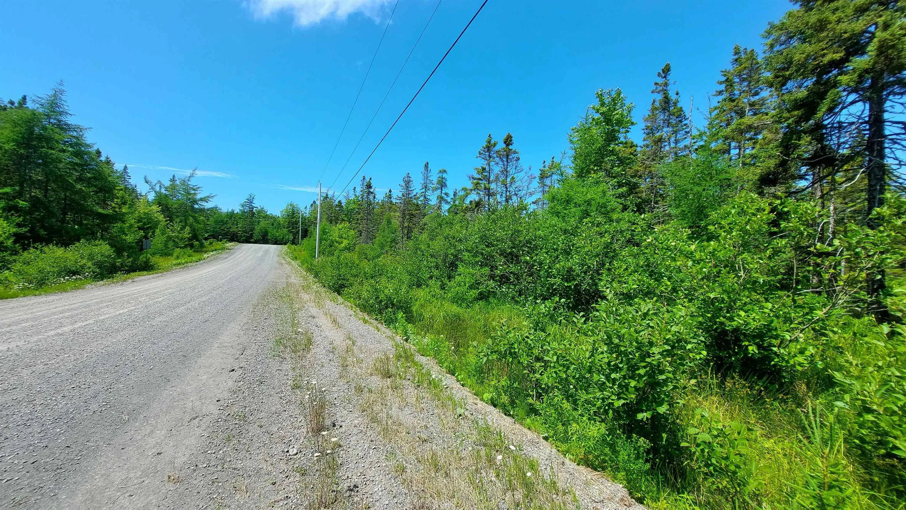 1a Birch Crescent, Cape George Estates, NS B0E 3B0, ,Land,For Sale,Birch Crescent,202516361