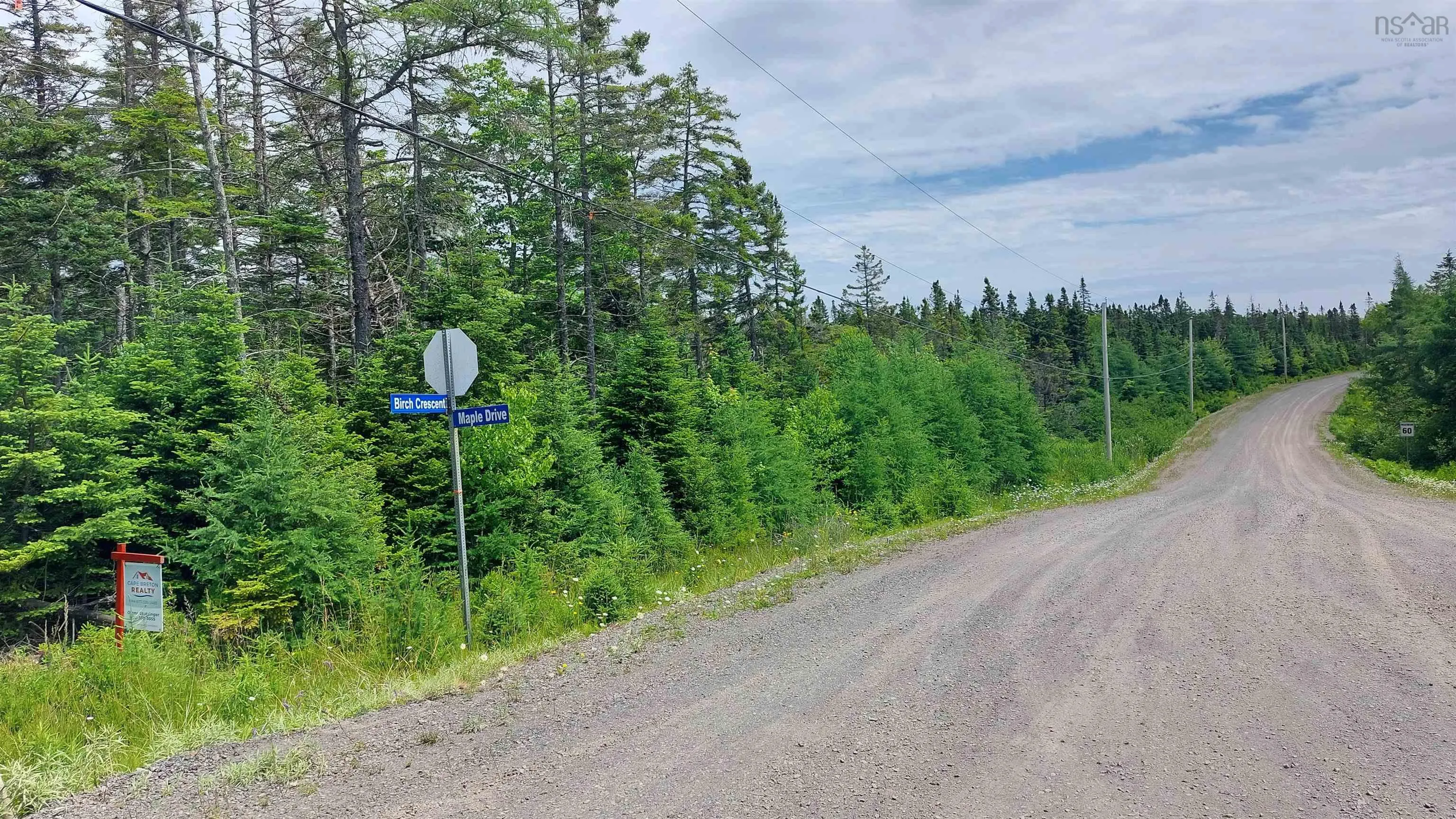 1a Birch Crescent, Cape George Estates, NS B0E 3B0, ,Land,For Sale,Birch Crescent,202516361