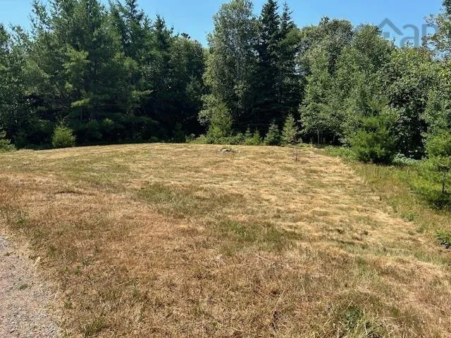 1586 Upper Southwest Mabou Road, Glencoe Station, NS B0E 2W0, 3 Bedrooms Bedrooms, ,1 BathroomBathrooms,Residential,For Sale,Upper Southwest Mabou,202519407
