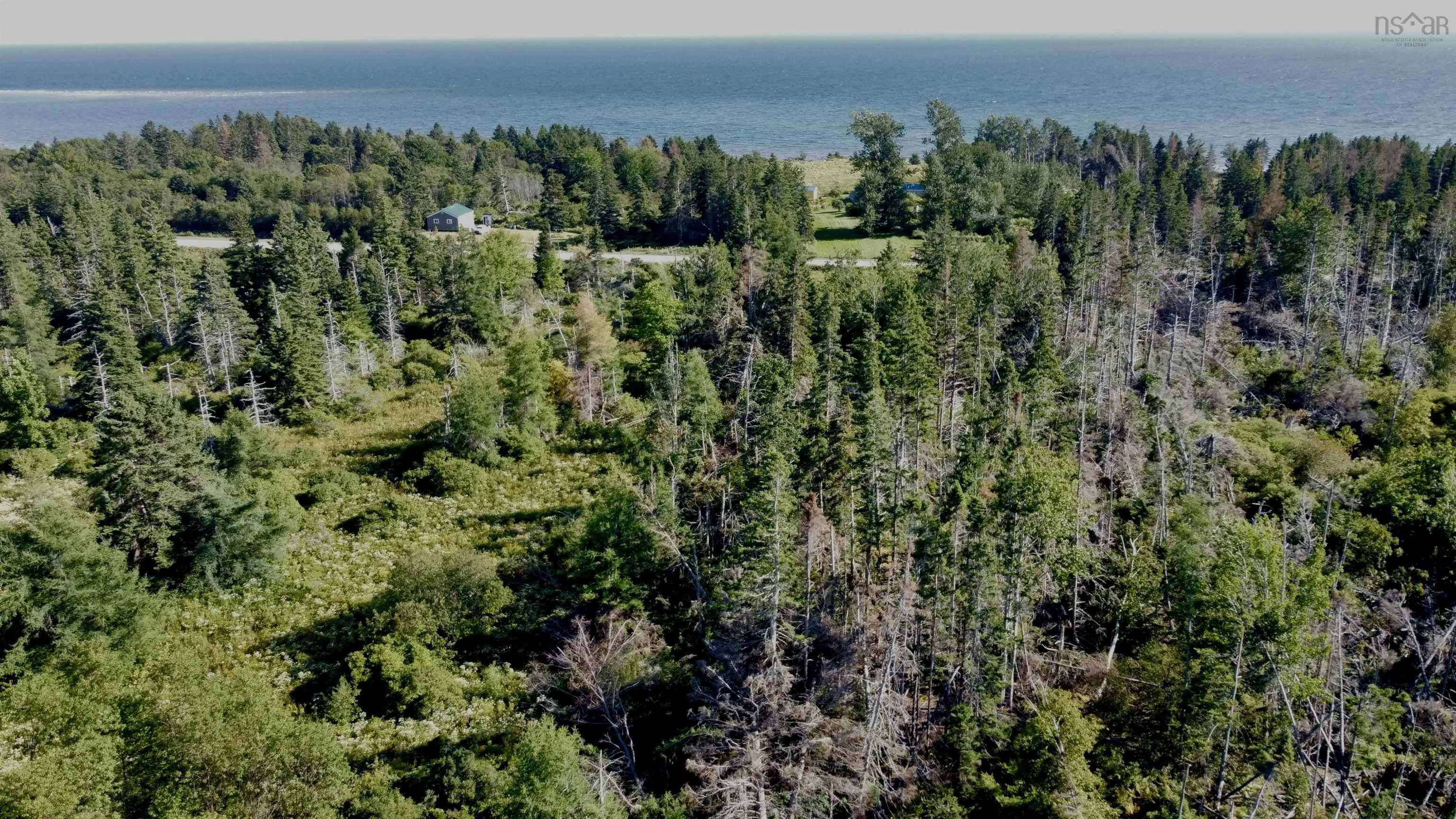 Lot 510 Pictou Island Road, Pictou Island, NS B0K 1J0, ,Land,For Sale,Pictou Island,202512364