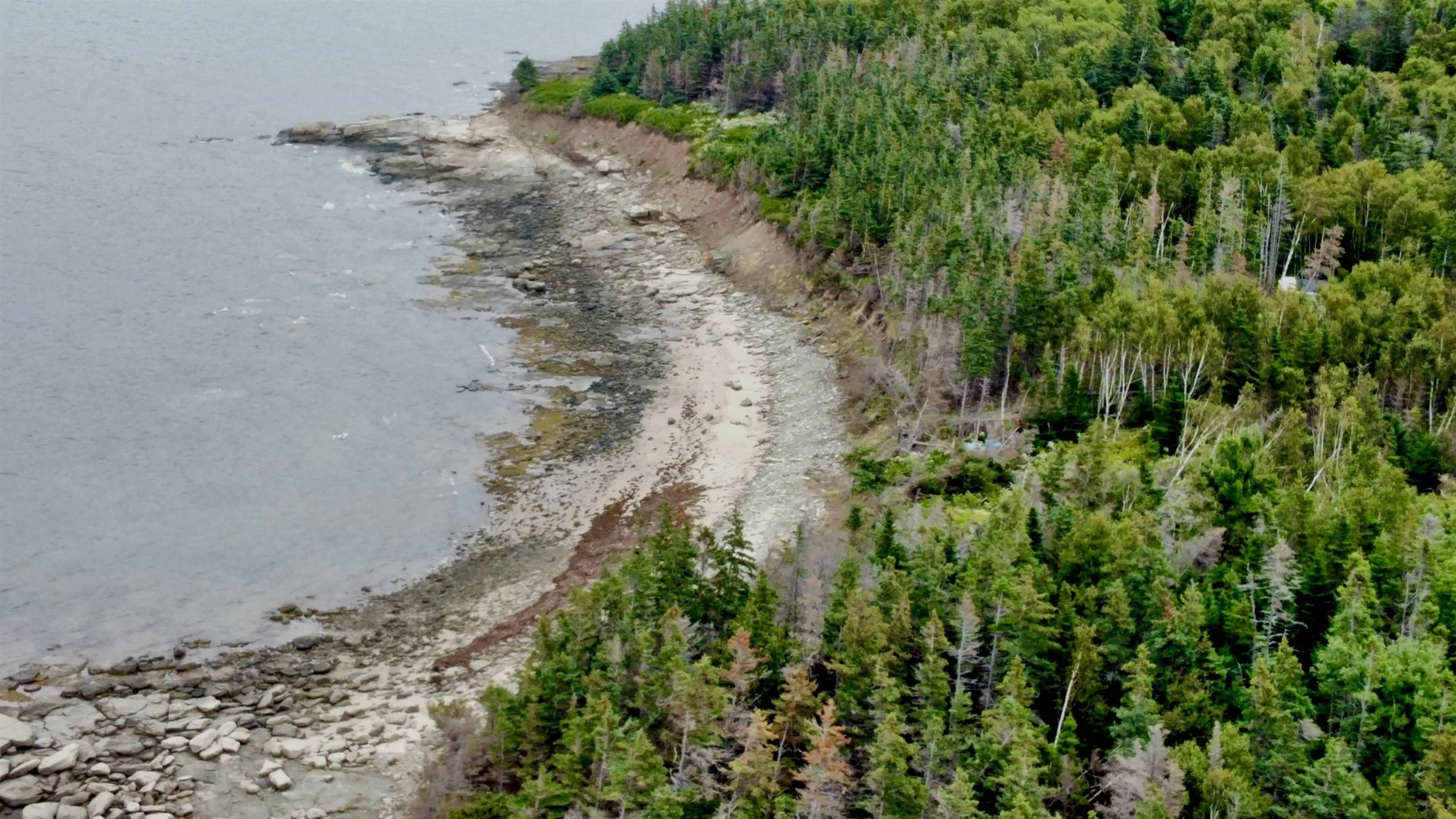Lot 510 Pictou Island Road, Pictou Island, NS B0K 1J0, ,Land,For Sale,Pictou Island,202512364