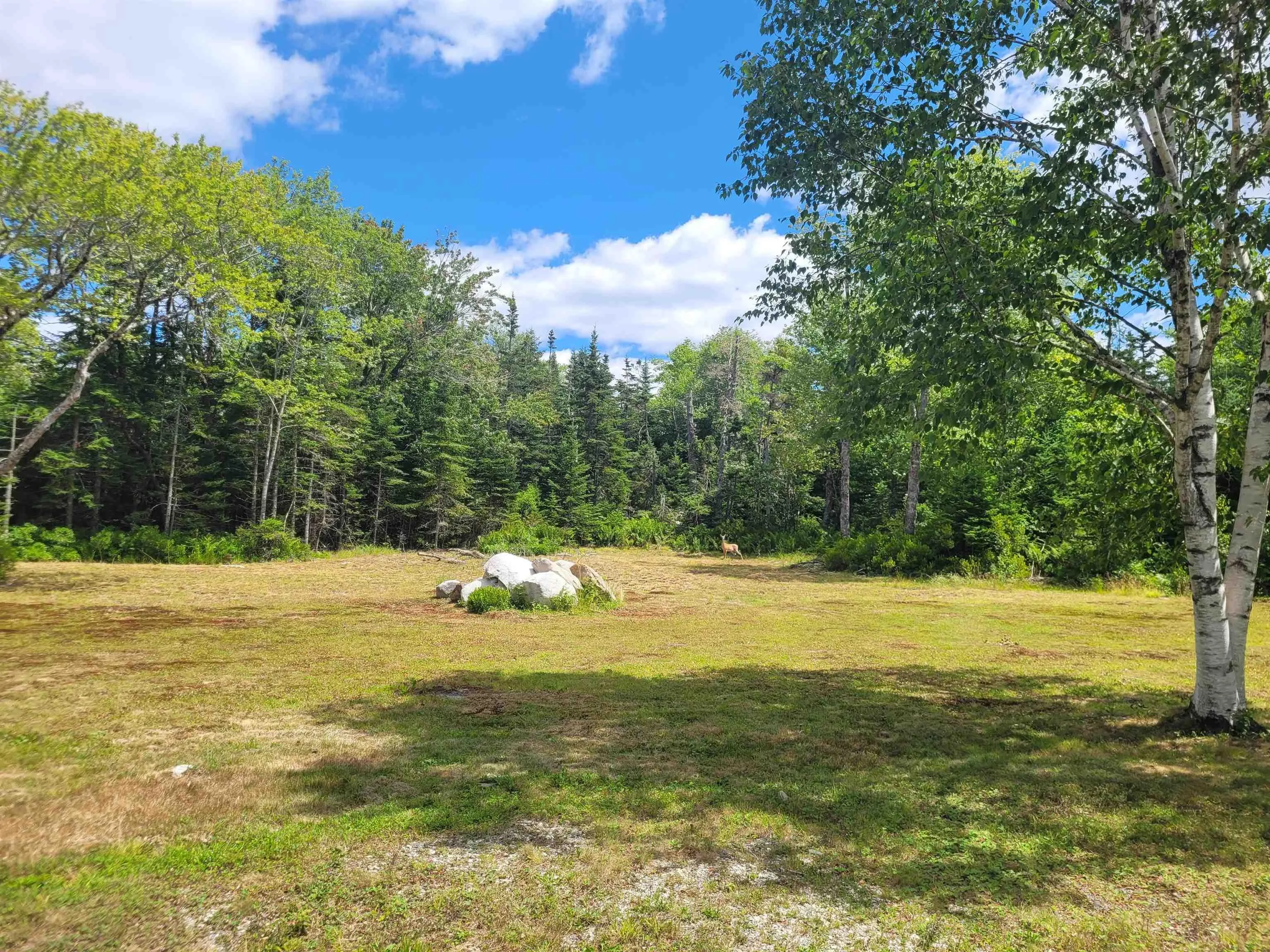 57 Somerset Drive, East Sable River, NS B0T 1V0, 2 Bedrooms Bedrooms, ,2 BathroomsBathrooms,Residential,For Sale,Somerset,202518853