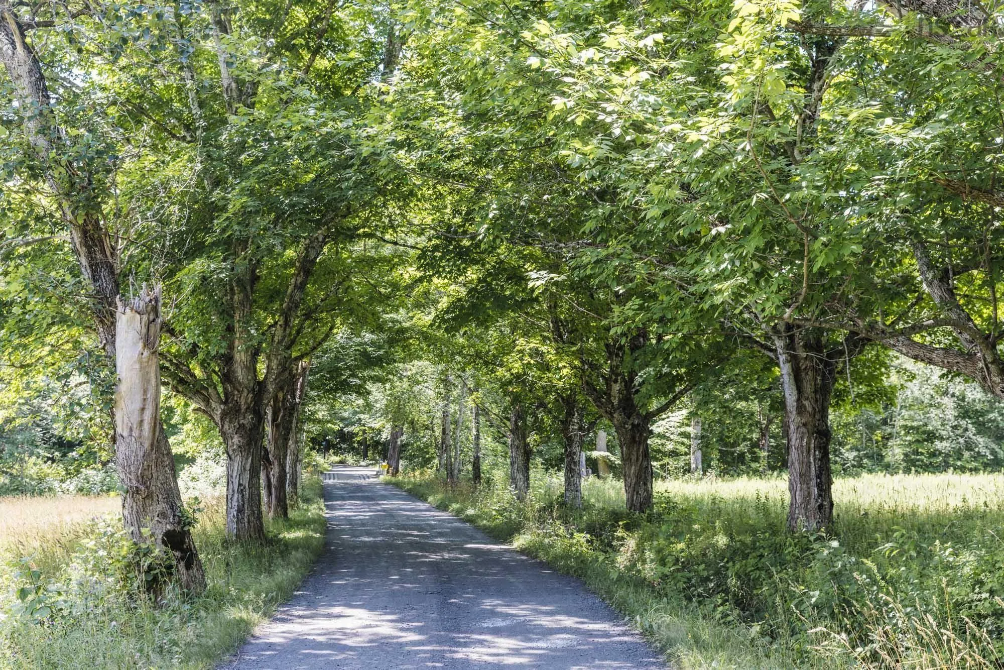Grand Lake Lot 2, Enfield, NS B2T 1H9, ,Land,For Sale,Grand Lake,202523166