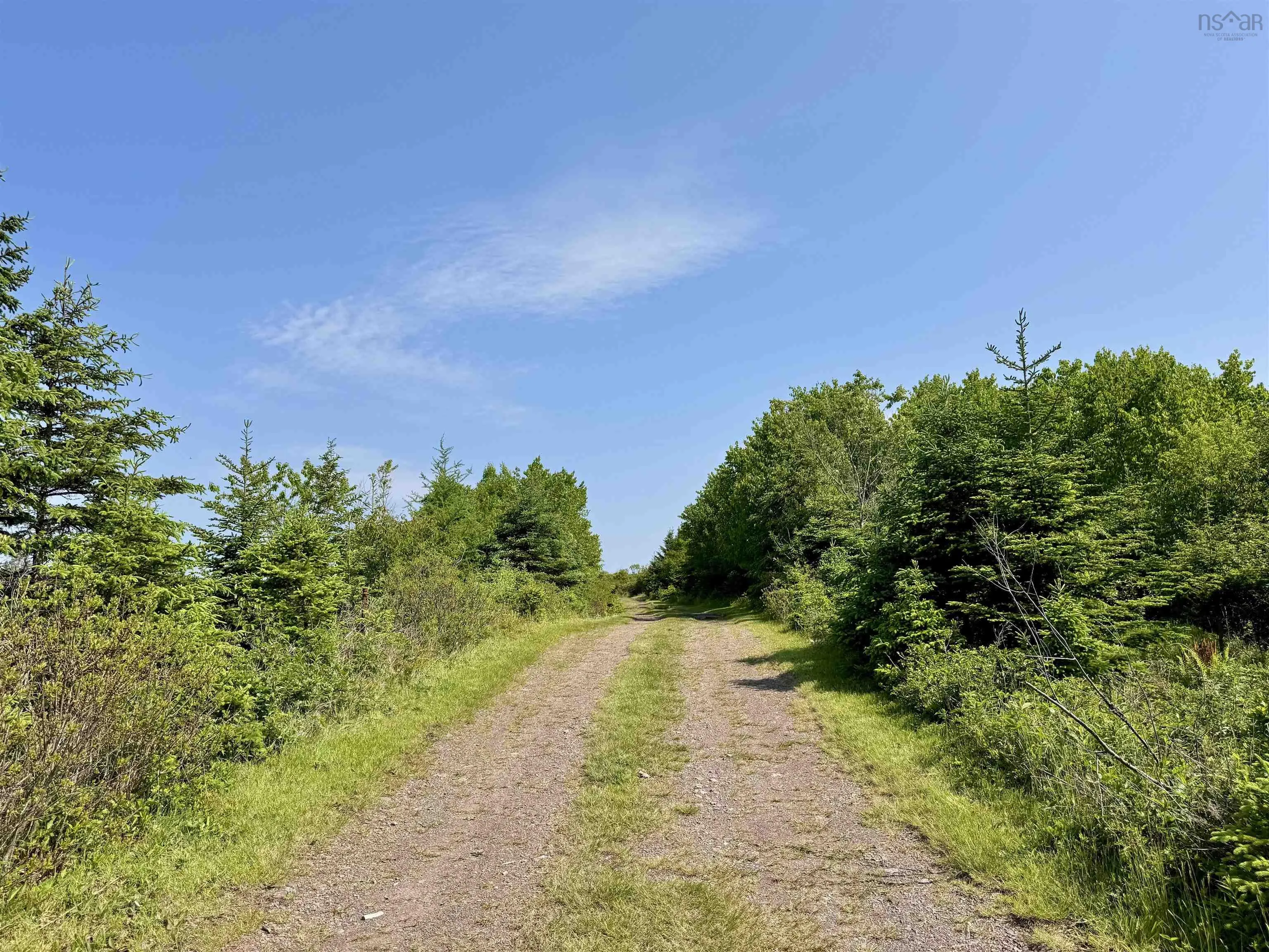 3123 Highway 320, Descousse, NS B0E 1K0, 2 Bedrooms Bedrooms, ,1 BathroomBathrooms,Residential,For Sale,Highway 320,202522537