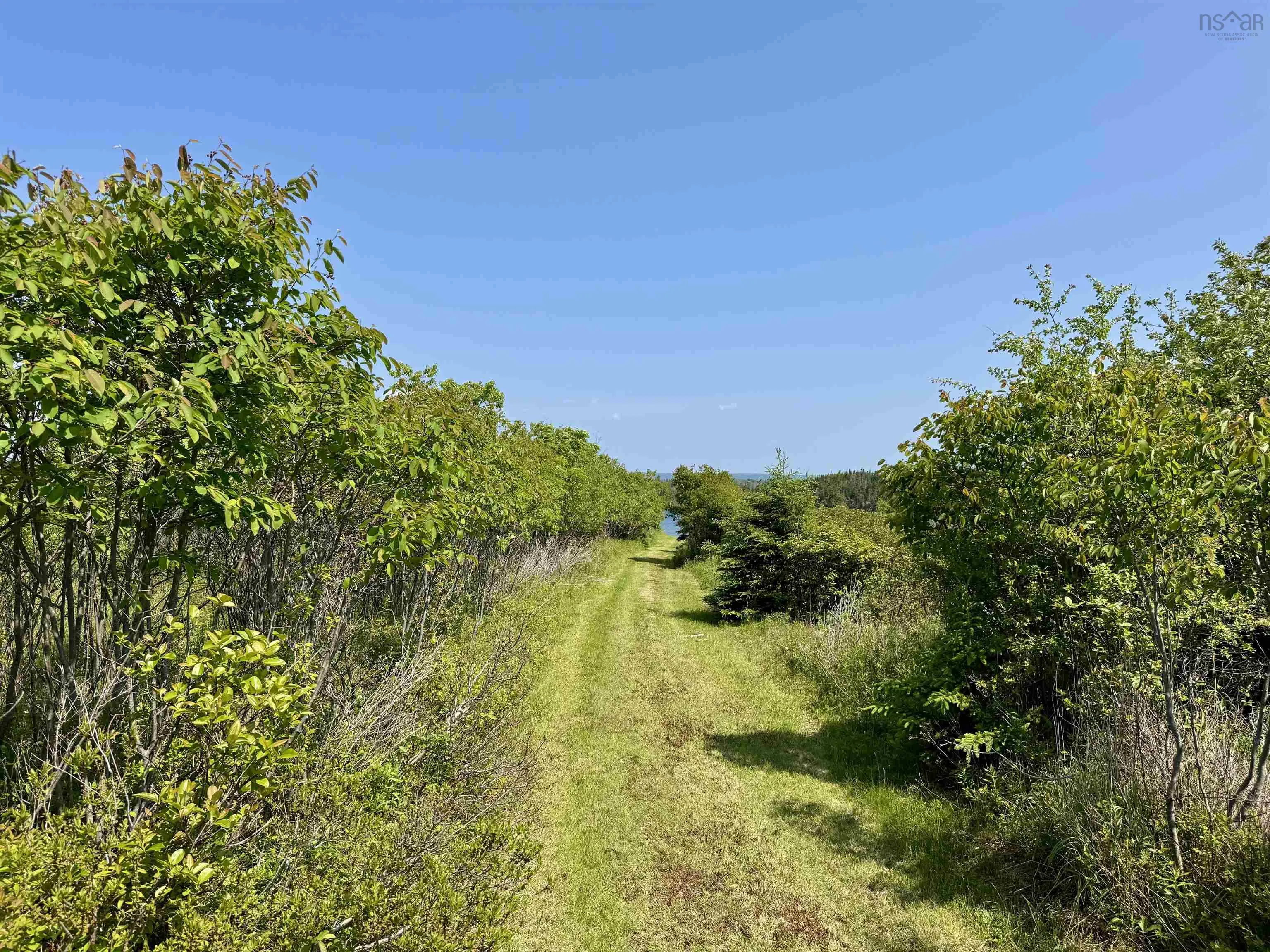 3123 Highway 320, Descousse, NS B0E 1K0, 2 Bedrooms Bedrooms, ,1 BathroomBathrooms,Residential,For Sale,Highway 320,202522537