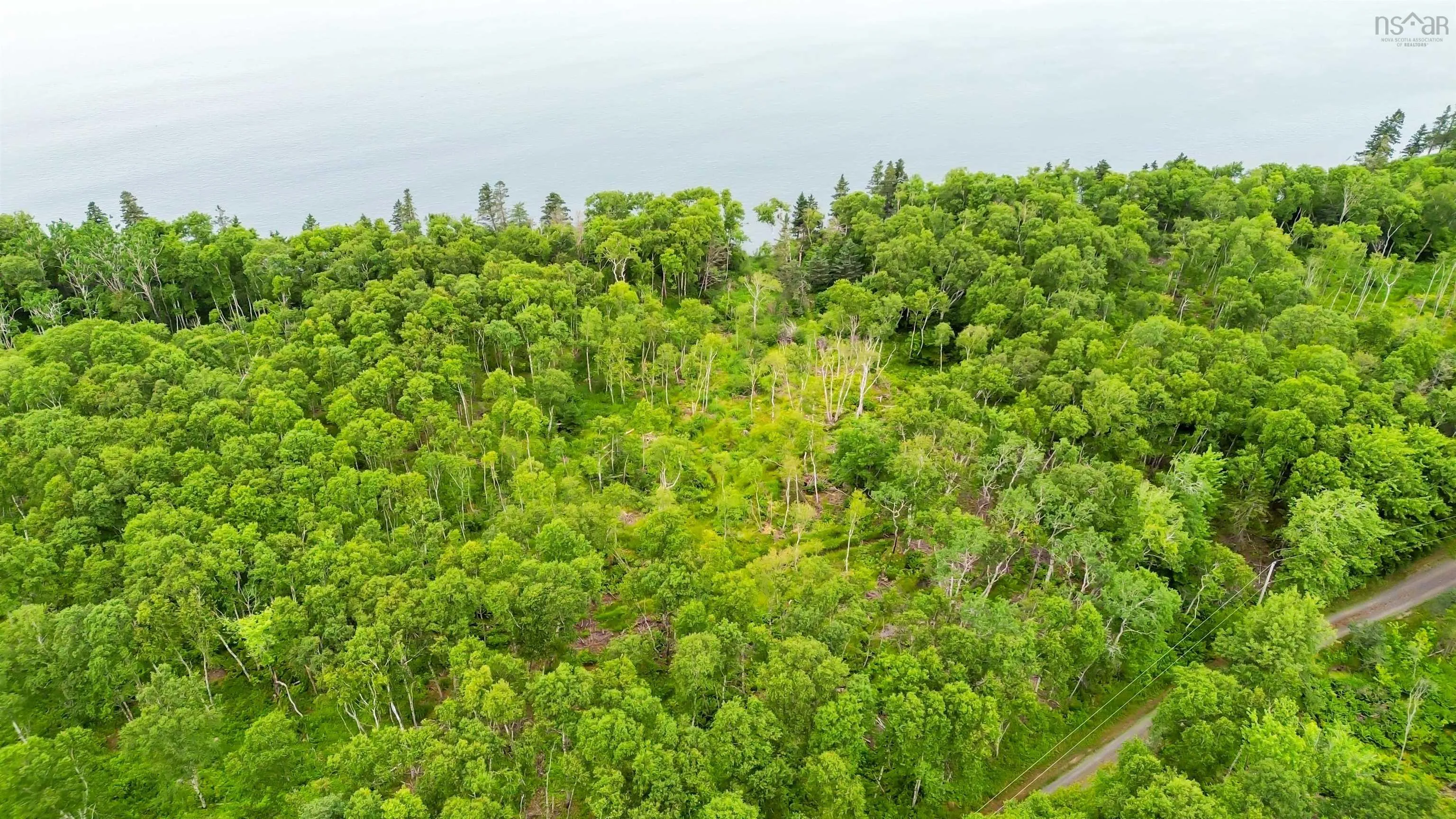 Wall Street Lot 1, Canada Creek, NS B0P 1V0, ,Land,For Sale,Wall,202517650