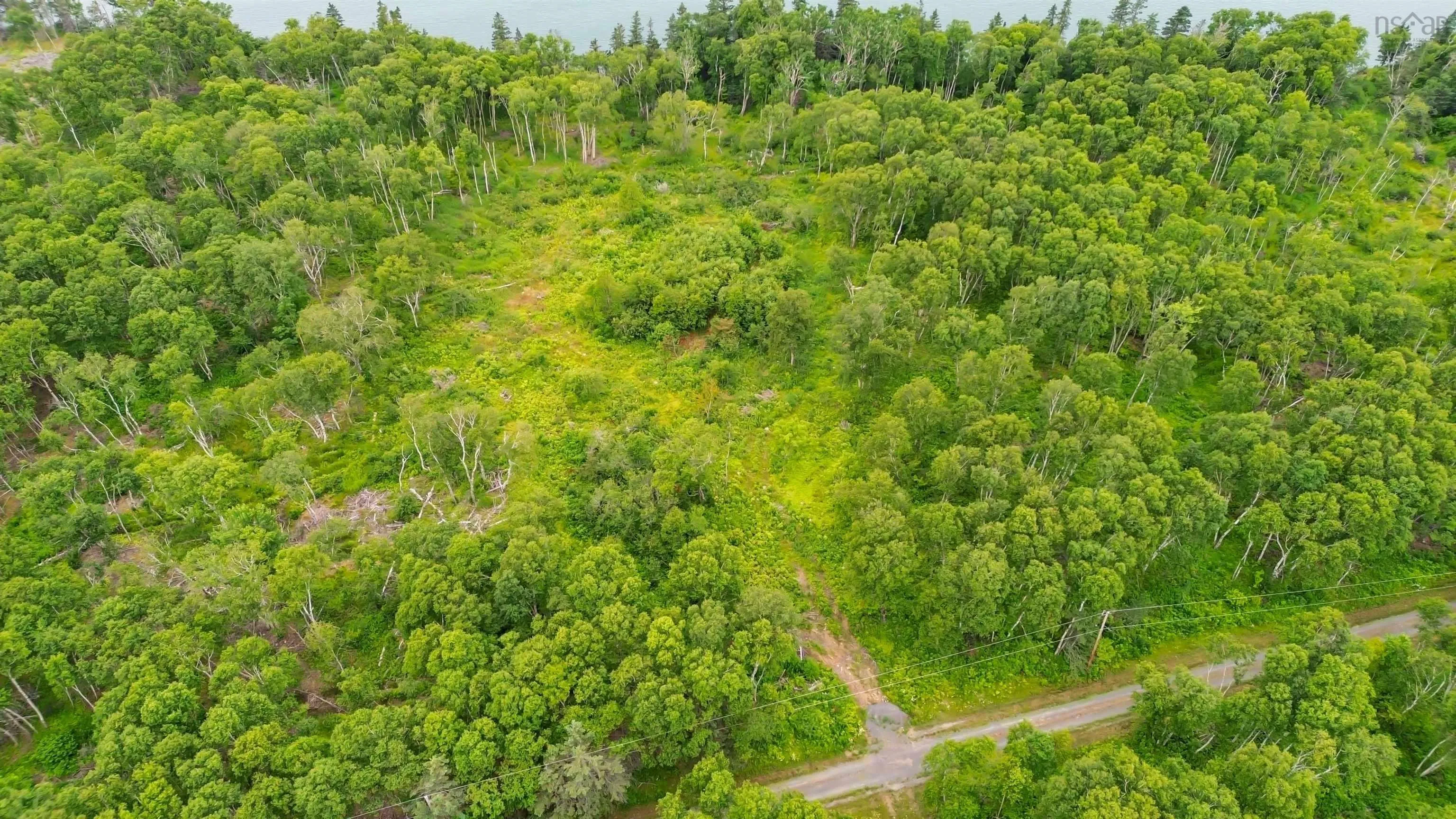Wall Street Lot 1, Canada Creek, NS B0P 1V0, ,Land,For Sale,Wall,202517650