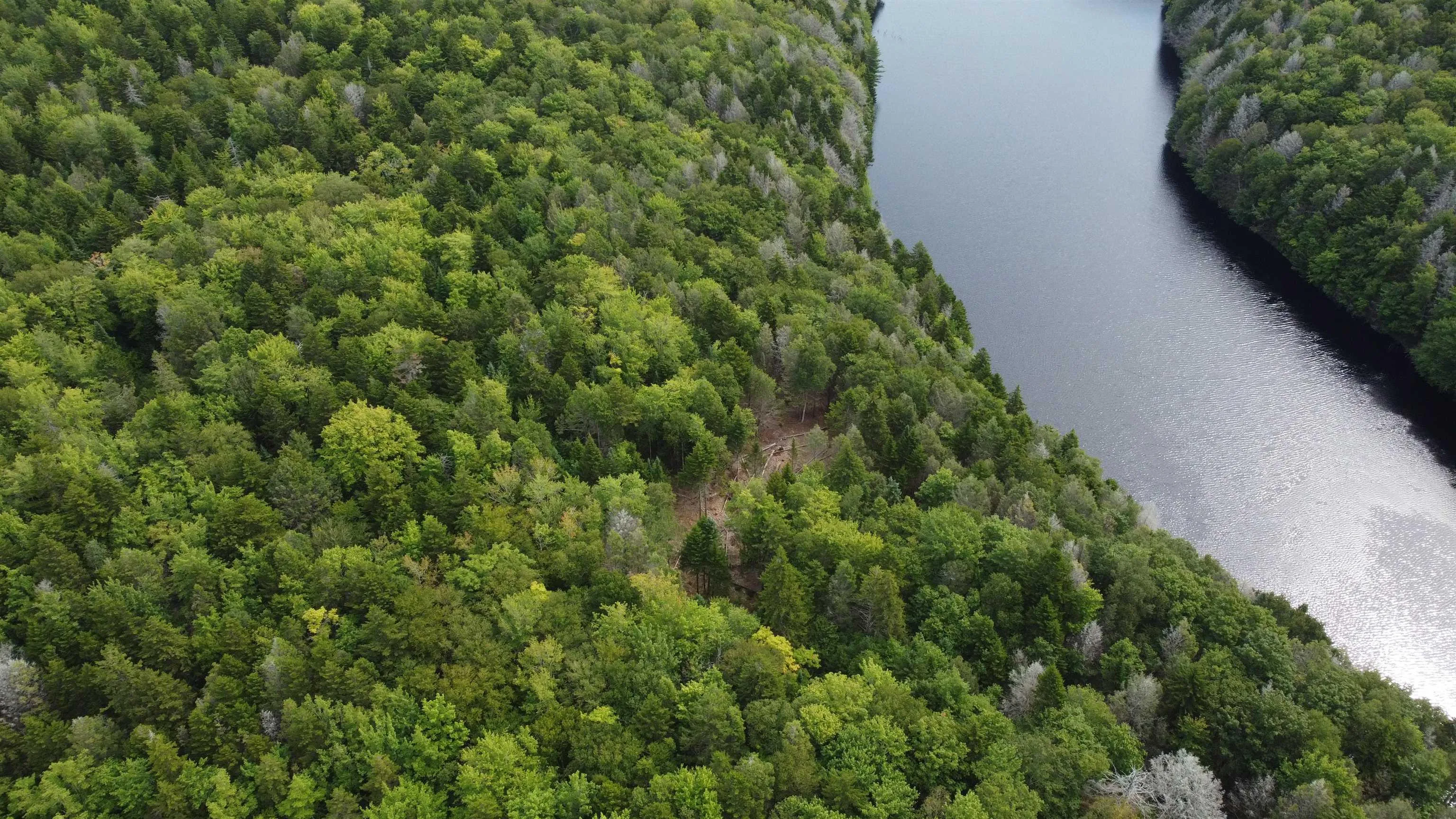 Sissiboo Road, Weymouth Mills, NS B0W 3T0, ,Land,For Sale,Sissiboo,202521352