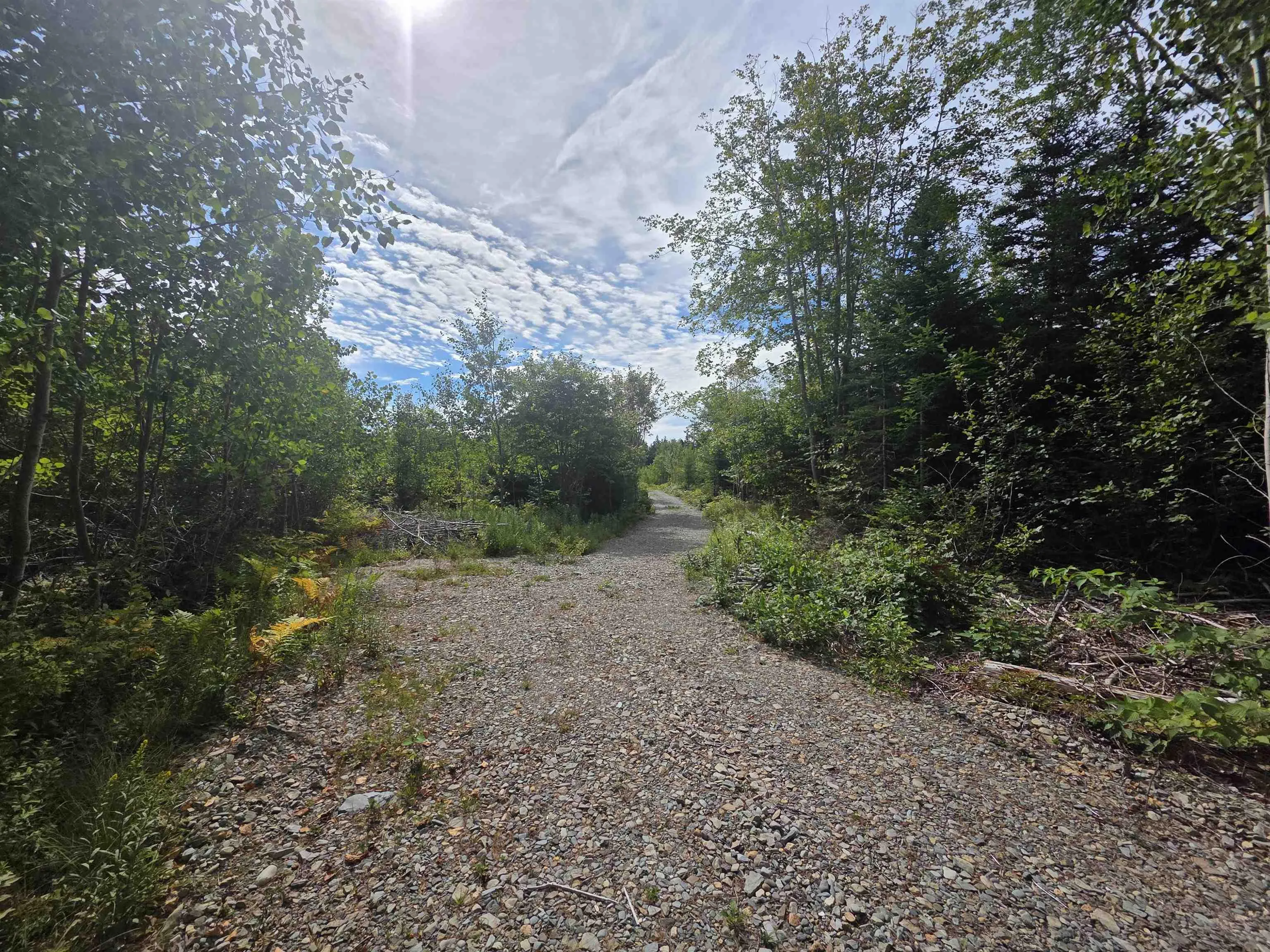 Sissiboo Road, Weymouth Mills, NS B0W 3T0, ,Land,For Sale,Sissiboo,202521352