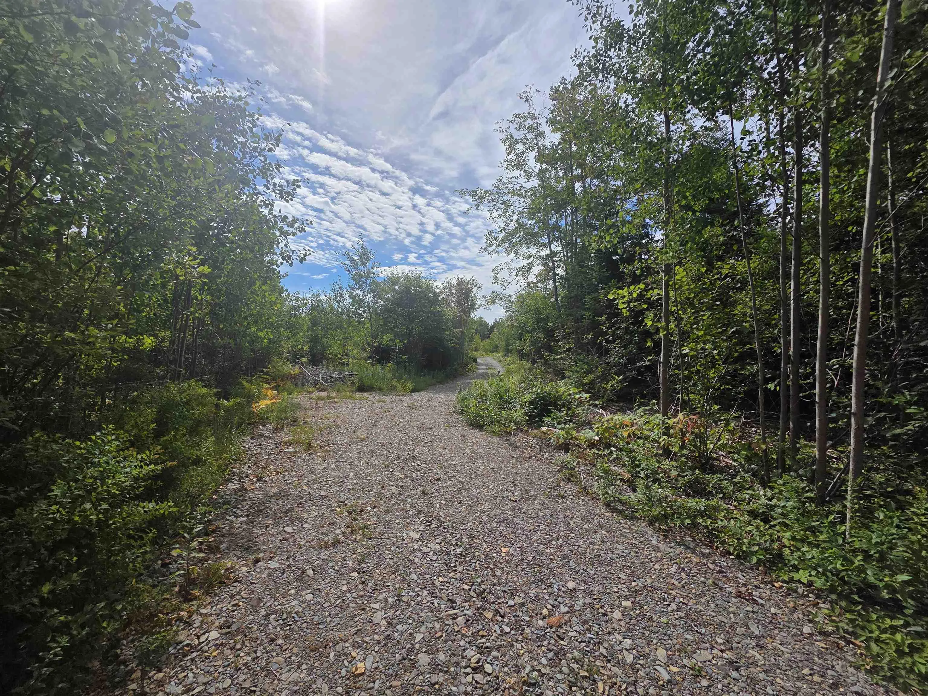 Sissiboo Road, Weymouth Mills, NS B0W 3T0, ,Land,For Sale,Sissiboo,202521352