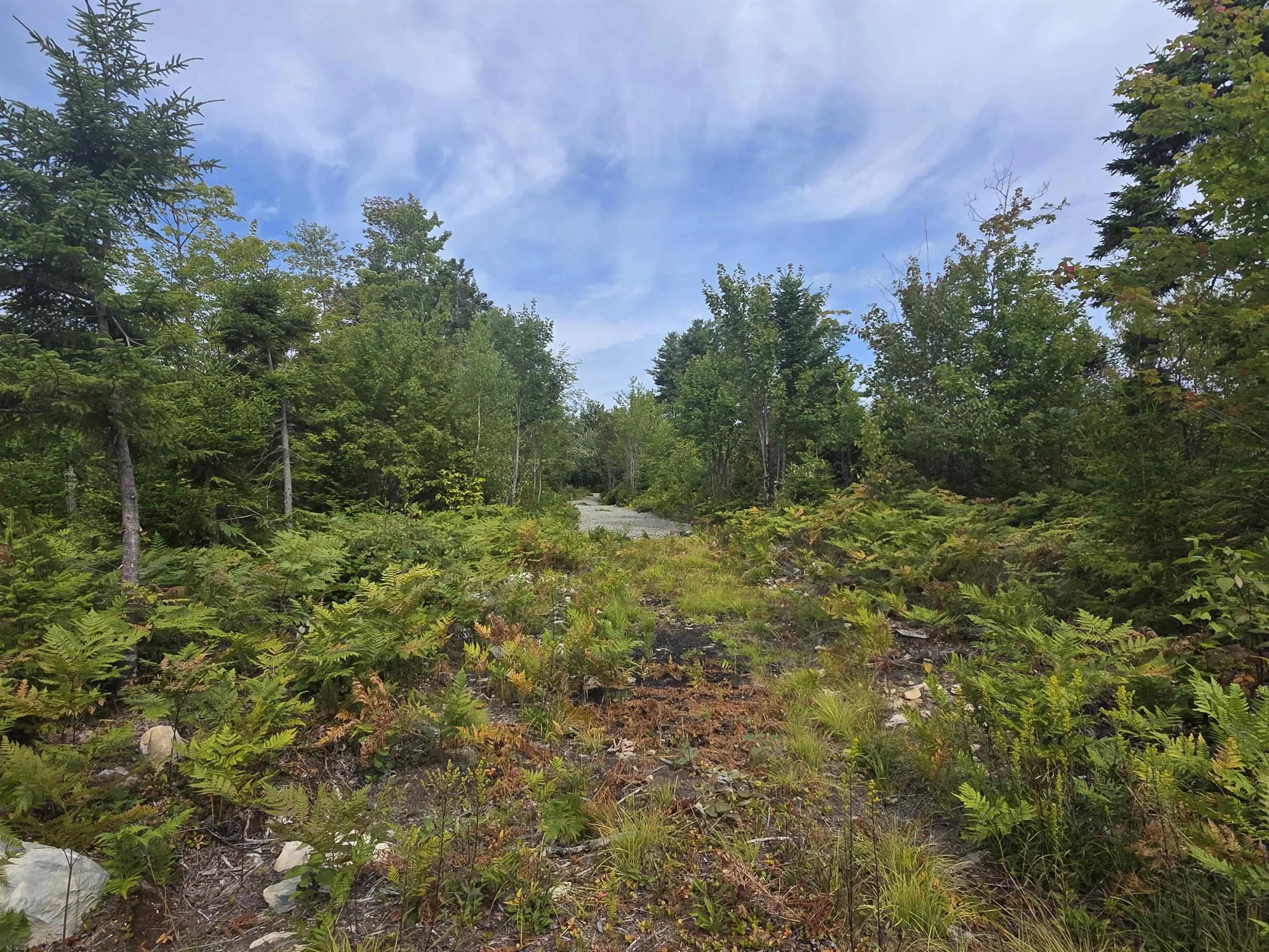 Sissiboo Road, Weymouth Mills, NS B0W 3T0, ,Land,For Sale,Sissiboo,202521352