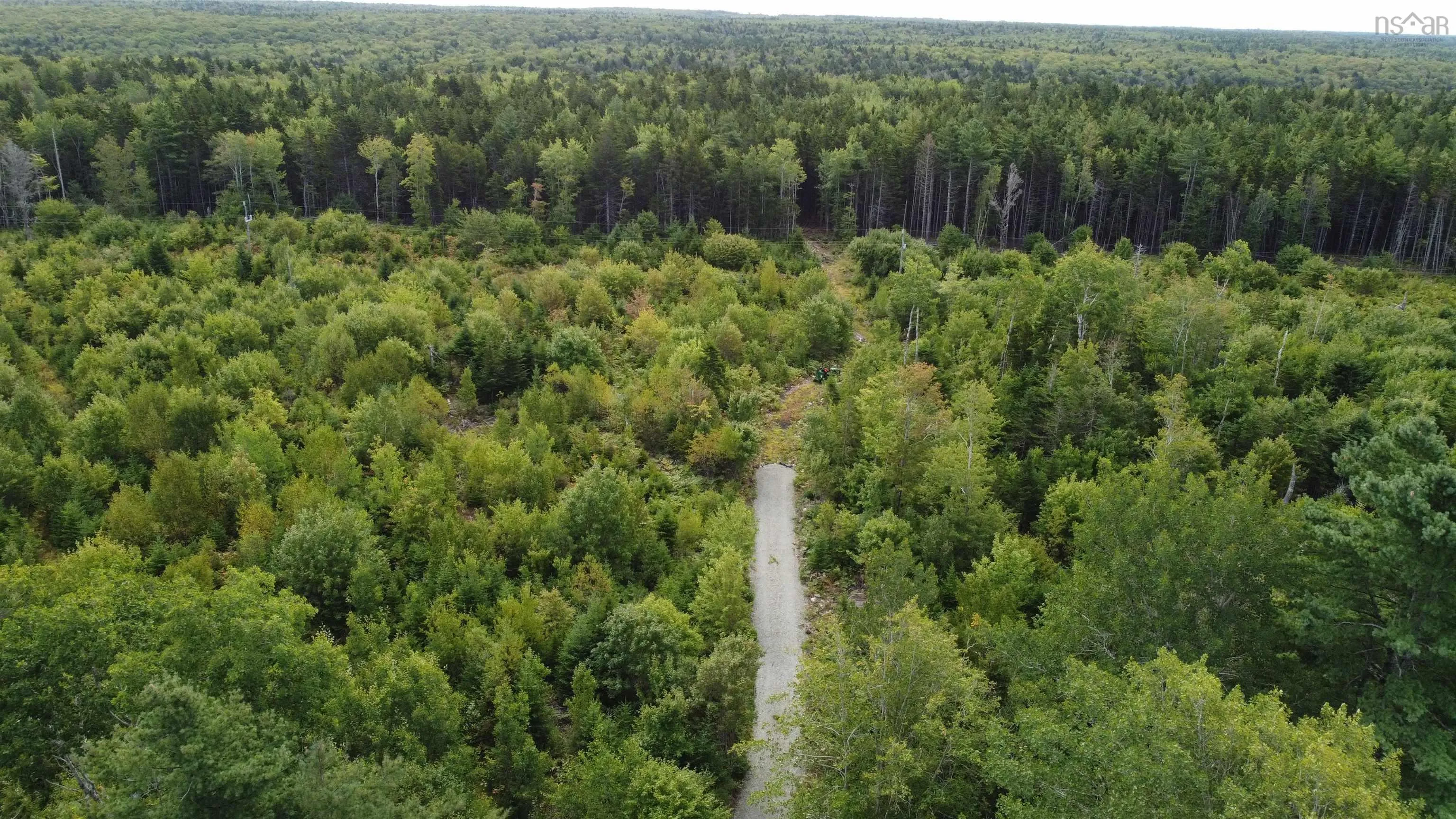 Sissiboo Road, Weymouth Mills, NS B0W 3T0, ,Land,For Sale,Sissiboo,202521352