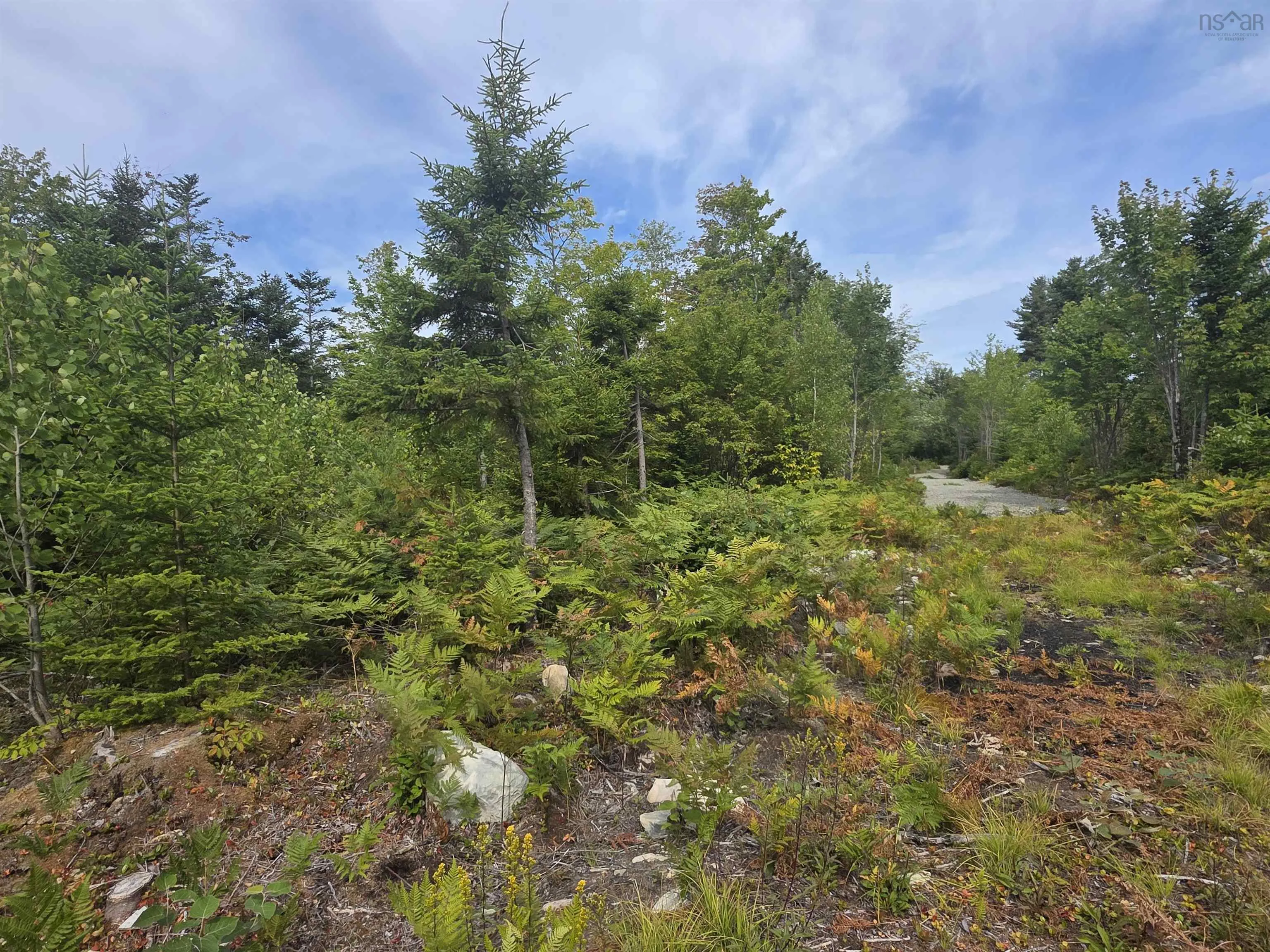 Sissiboo Road, Weymouth Mills, NS B0W 3T0, ,Land,For Sale,Sissiboo,202521352
